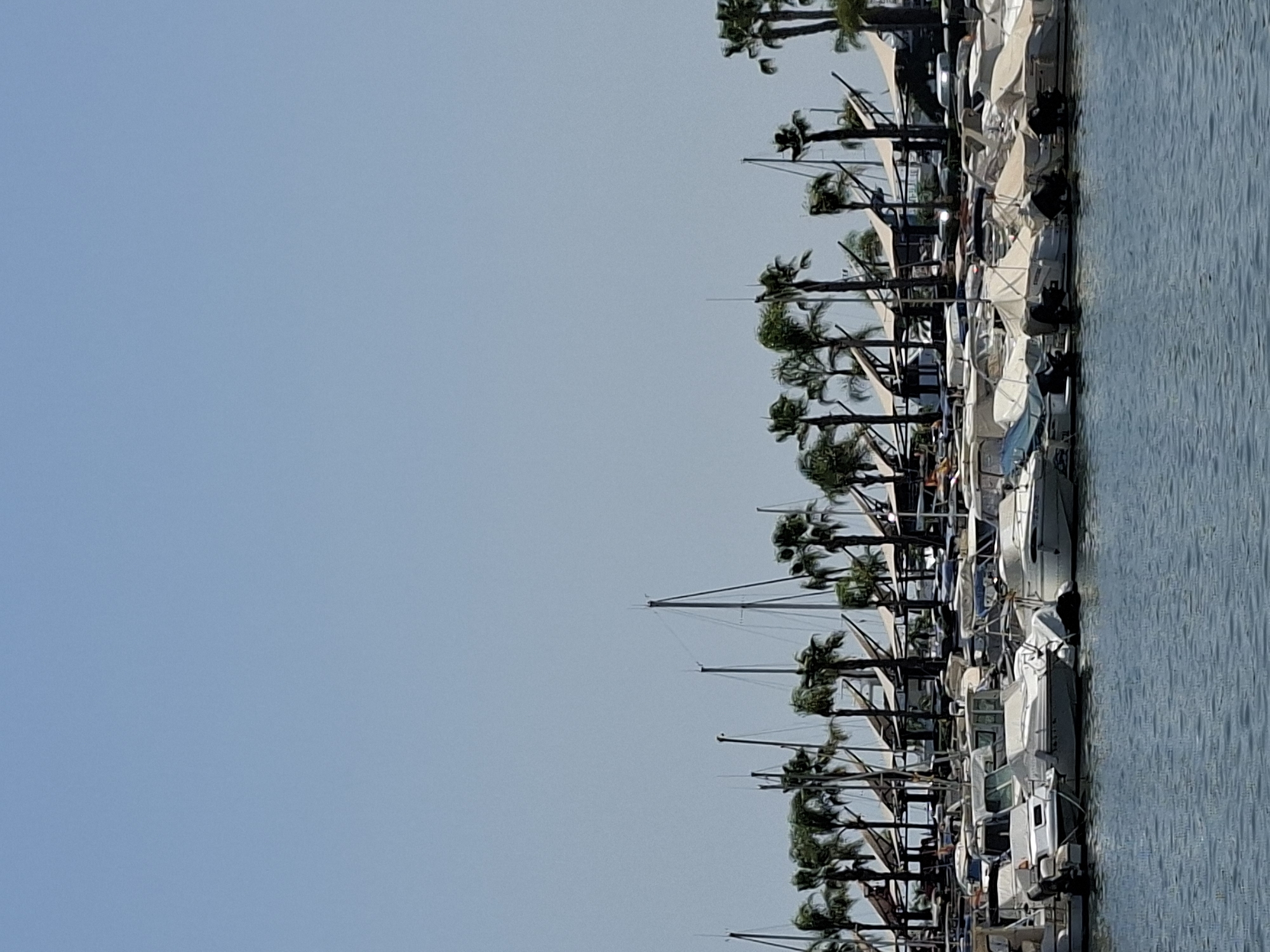 The image shows a marina filled with numerous boats docked in blue water under a clear sky. Palm trees line the background, interspersed with masts of sailboats. Many of the boats are covered with white tarpaulins. The scene appears to be a sunny day in the city of Santa Pola, Spain, a coastal town known for its fishing port and beaches.