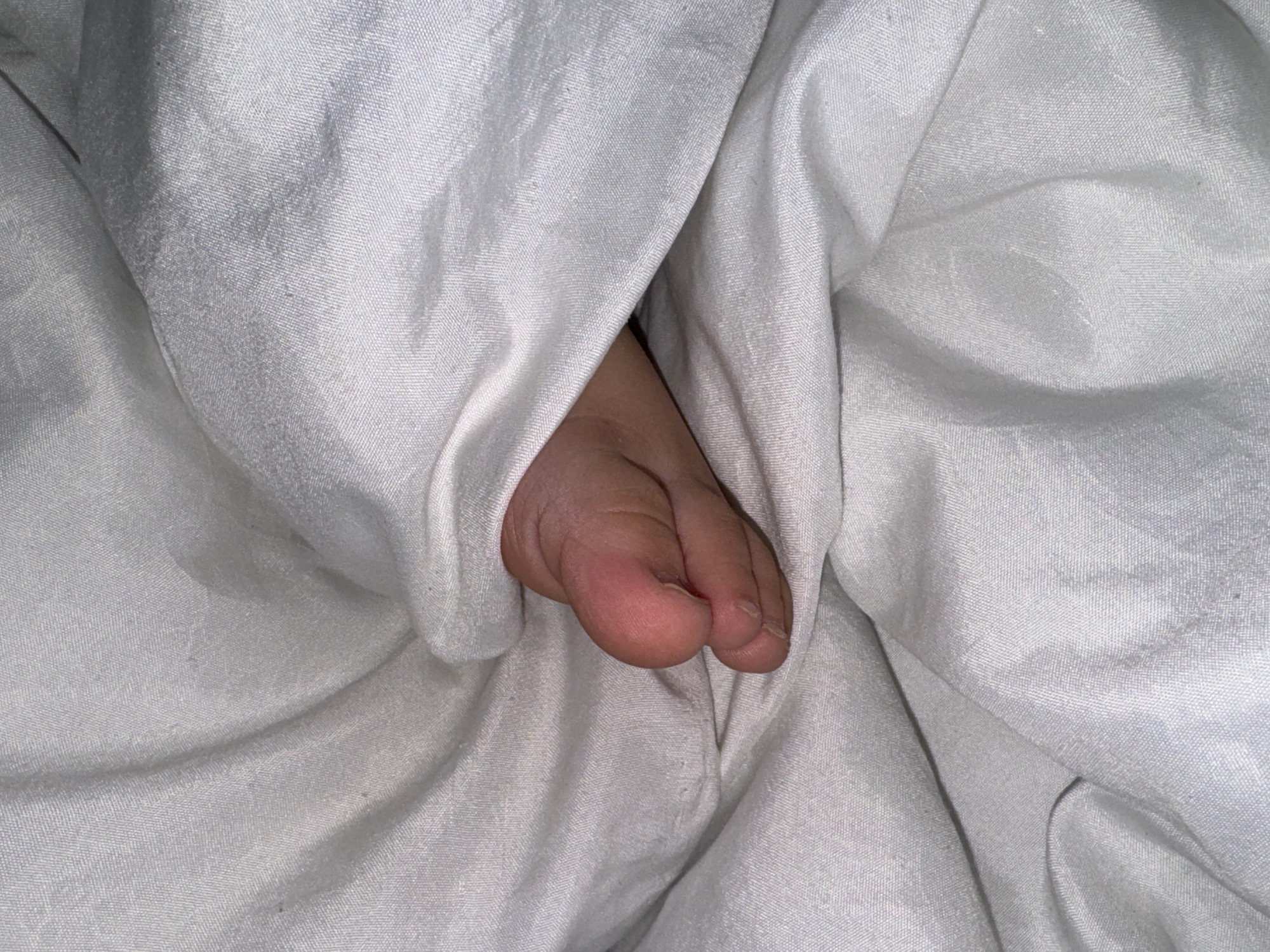 A human foot protrudes from a white, crumpled bedsheet. The location is not discernible from the image.