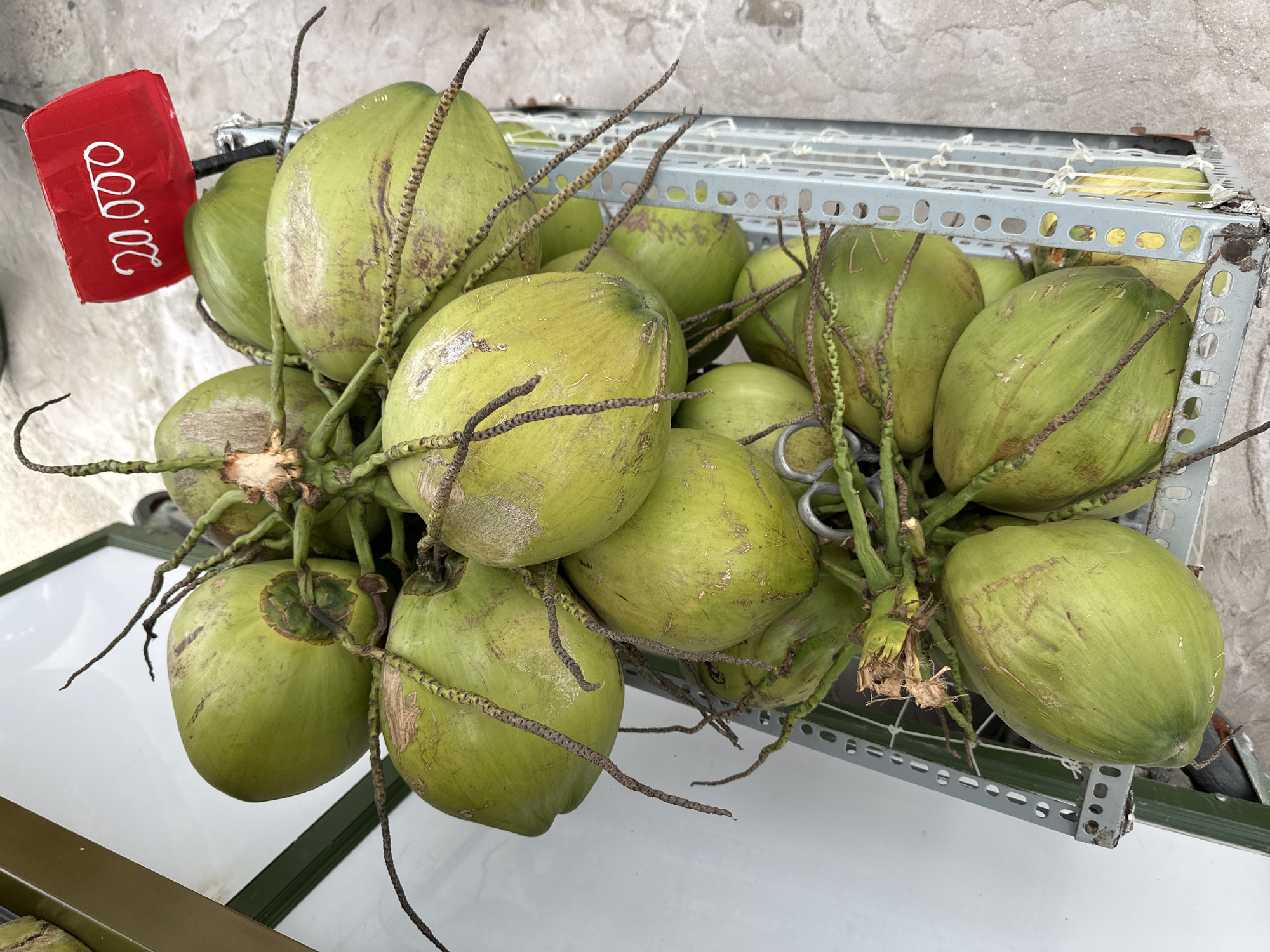 A close-up, overhead shot shows a cluster of green coconuts in a metal basket. A red price tag with white lettering reading "20.000" is attached to a coconut stem. The coconuts have brown, fibrous husks and some appear to have minor blemishes or scuff marks. The basket is partially filled, with some coconuts spilling over the sides. The background consists of a light-colored, textured surface, likely a sidewalk, and a white wall or panel. The image appears to be taken outdoors, possibly at a market stall in Phu Thuy Ward, Vietnam.