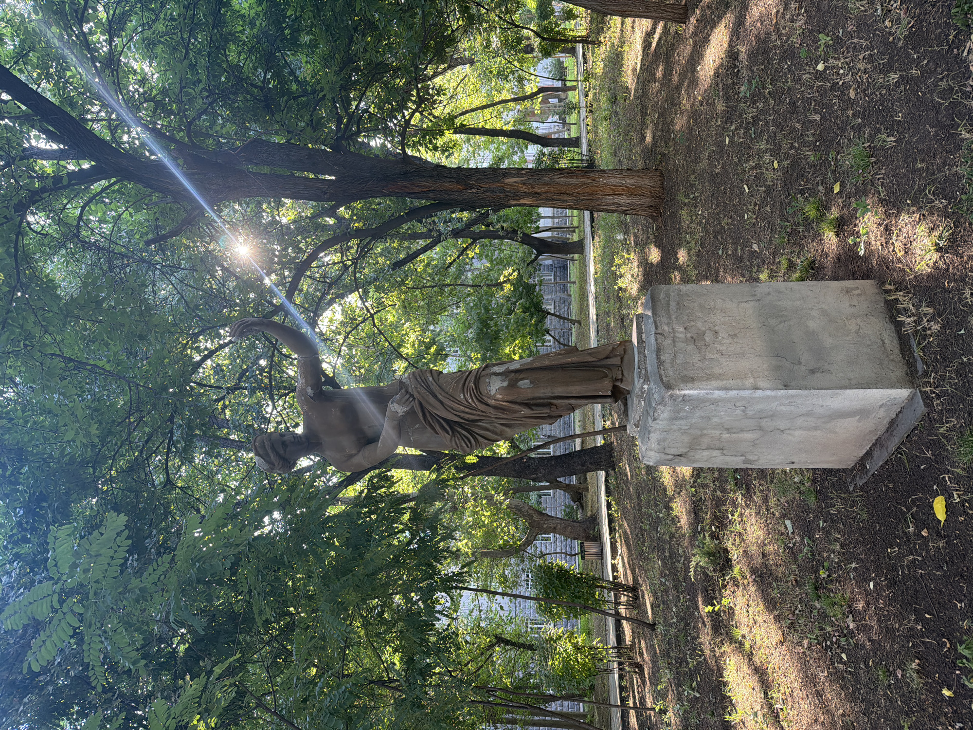 A full shot captures a bronze statue of a robed female figure with a headscarf, standing on a concrete pedestal in a park. The statue is positioned in the foreground, slightly off-center to the left, and is surrounded by trees with lush green foliage. Sunlight streams through the leaves, creating dappled shadows on the ground. A ray of light highlights the statue's face and upper body, and a lens flare is visible in the upper right quadrant of the image. The park ground is covered with dark soil, sparse grass, and scattered dry leaves. In the background, a light-colored, multi-story building with windows is visible behind the trees. The overall scene is serene and natural, with a hint of classical art integrated into the environment.