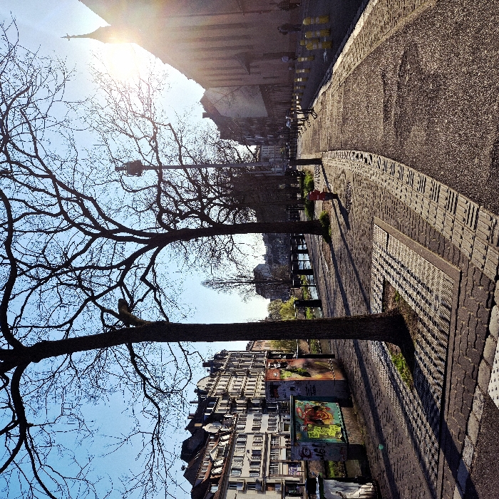The image depicts an urban canal scene in Strasbourg, France, likely along the Quai des Pêcheurs or Quai des Bateliers, with the Église Saint-Guillaume visible on the right. The scene is illuminated by strong sunlight from the upper right, suggesting either sunrise or sunset, creating long shadows and a lens flare around the church's spire.
In the foreground, a paved pedestrian walkway is visible, constructed from various stone patterns and asphalt sections. Two prominent, leafless deciduous trees stand in the mid-left and center-right, casting long shadows across the path. Tactile paving for the visually impaired is integrated into the ground around the tree bases. A red fire hydrant is positioned to the right of the second tree. Further to the right, a narrower asphalt path or road is delineated by a curb and a row of yellow-capped bollards. A tall streetlamp with a circular multi-light fixture stands behind the second tree.
In the midground, a canal or river runs horizontally, partially obscured by the trees and a dark, low railing. Along the far bank of the canal on the left, a row of multi-story European-style buildings with light facades, numerous windows, and dark roofs are visible. Several dark, graffiti-covered utility boxes or kiosks are positioned along this bank. A bridge is discernible in the distance over the canal.
On the right side of the background, a large, austere building, identified as the Église Saint-Guillaume, stands with a dark, reddish-brown stone facade. Its spire, topped with a cross, is silhouetted against the sun's glare. A few indistinct human figures are visible walking on the street adjacent to this building. The sky is clear blue.