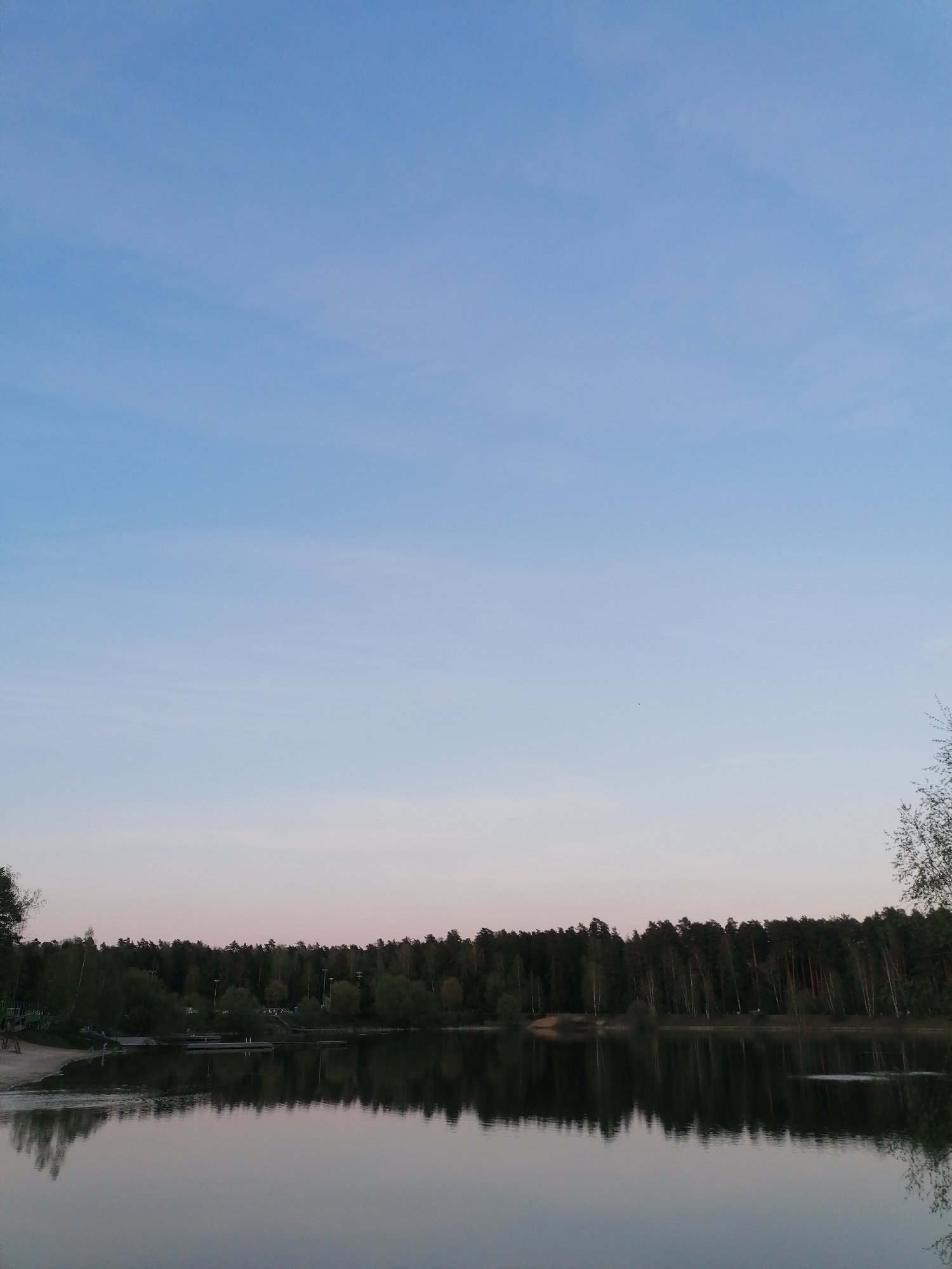 The image depicts a still body of water reflecting a line of trees under a clear blue sky. The location is identified as a city in Unknown, Unknown. The trees are a mix of deciduous and coniferous varieties, creating a dense forest edge along the water's edge. In the foreground, the water's surface is calm, allowing for a near-perfect reflection of the trees and sky. The sky transitions from a pale pink near the horizon to a deeper blue overhead. A portion of the shoreline is visible on the left side of the image, appearing as a sandy bank. The scene is devoid of people.
