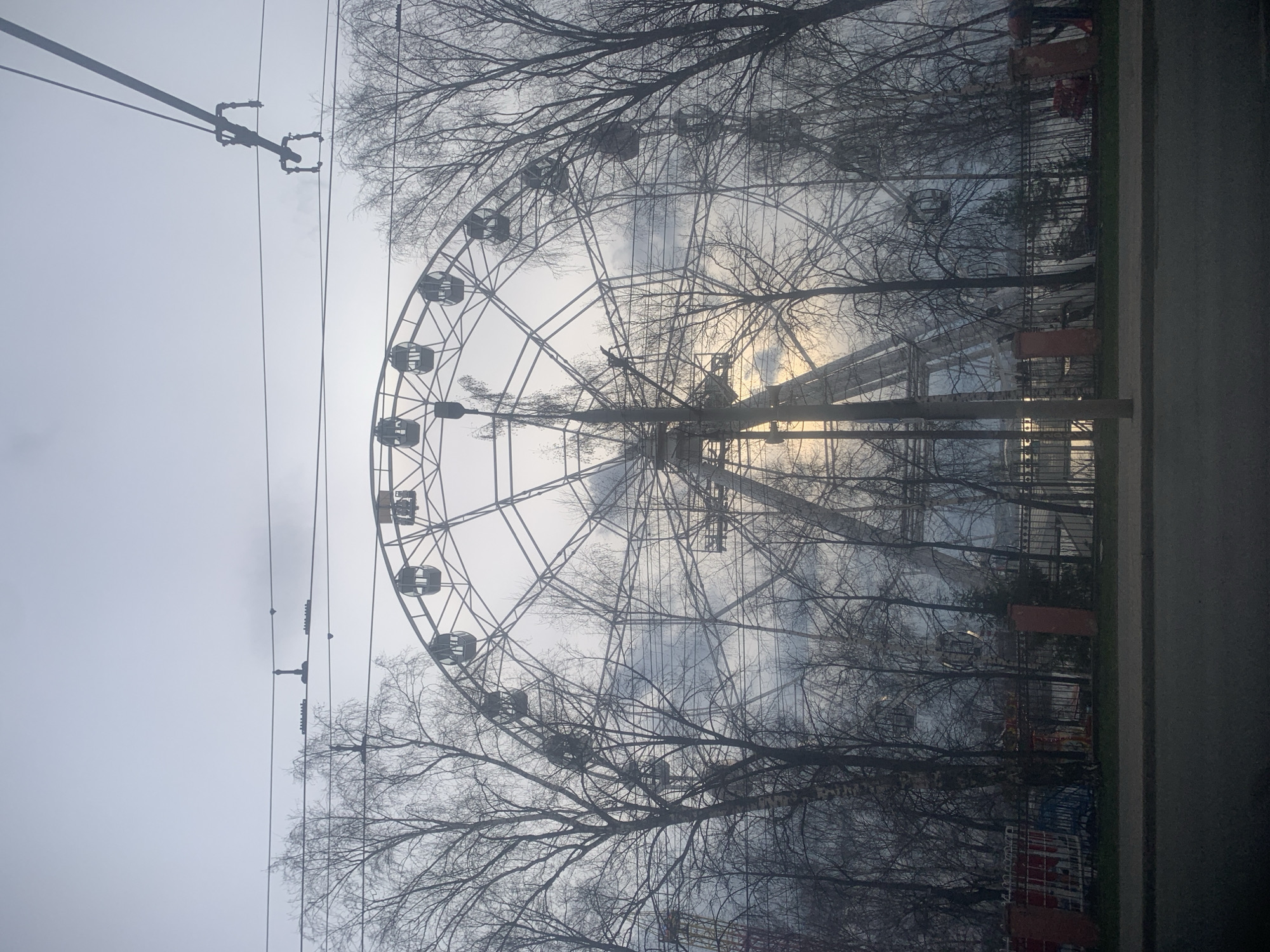 The image shows a Ferris wheel in a park in Izhevsk, Russia. The sky is overcast and the trees are bare, suggesting a cold or off-season time of year. Power lines are visible in the upper left corner of the frame. The Ferris wheel is the central focus, with branches of bare trees framing the wheel's structure. In the background, fences and what appear to be other structures within the park are visible.