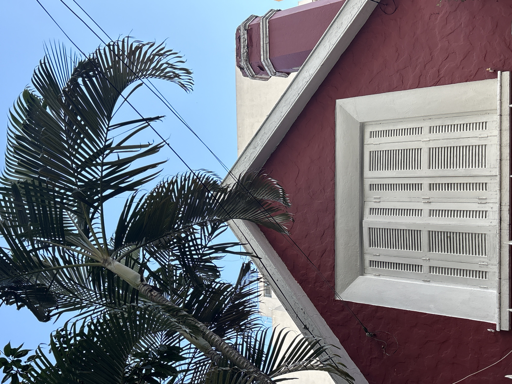 The image shows the upper facade of a red building with a large white-shuttered window. Above the red roofline, a palm tree with dark green fronds obscures the blue sky, and power lines are visible against the sky. To the right, a red octagonal chimney with peeling paint rises above the roof. The textured red wall of the building is visible, along with the white trim around the window and the roofline. The scene is consistent with architecture found in neighborhoods like Jardins or Itaim Bibi in São Paulo, Brazil, which feature colonial-inspired buildings and lush vegetation. There are no people or visible actions in the image.