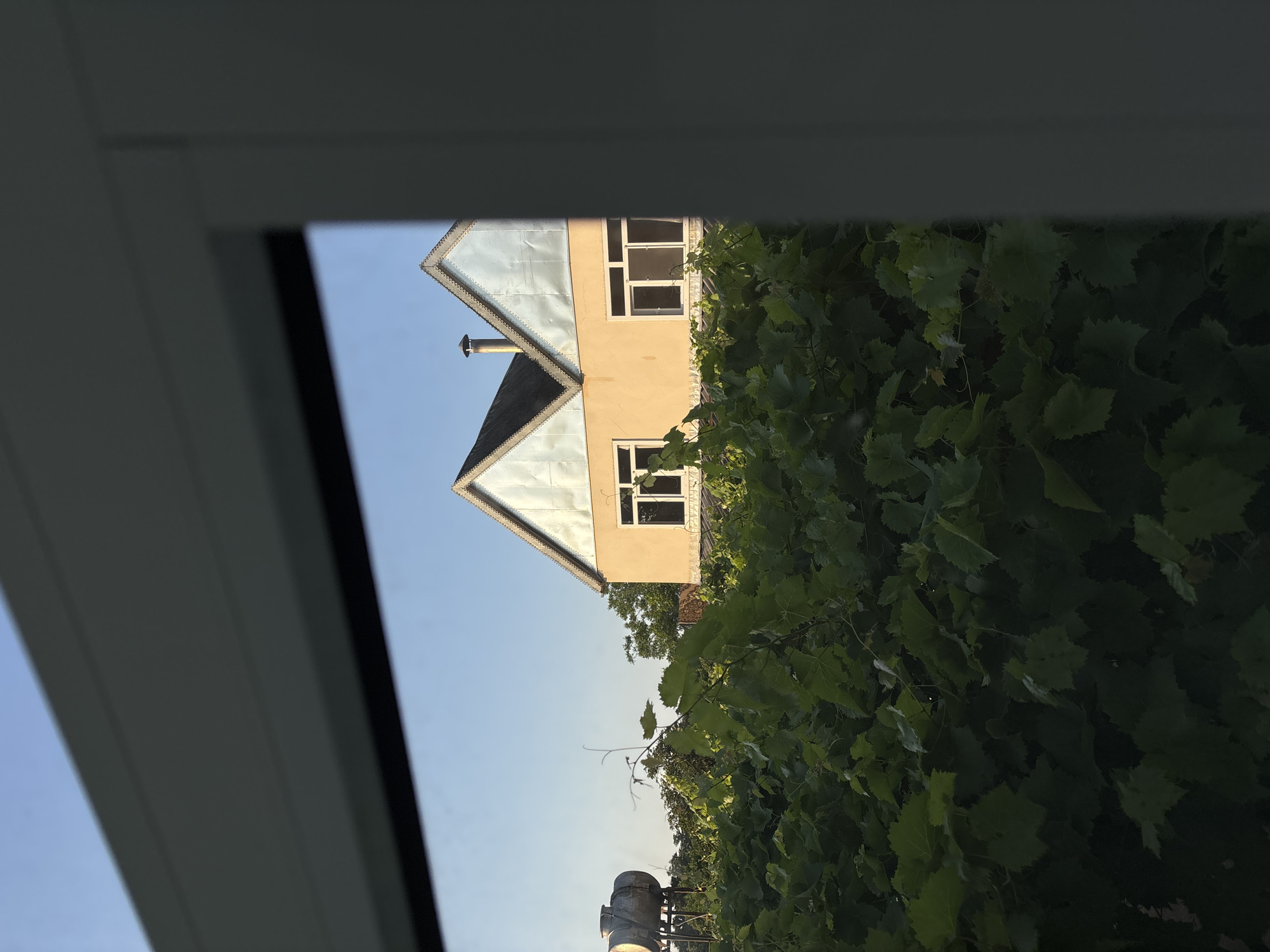 The image depicts a rural scene in Nabran, Azerbaijan, viewed through a window frame. In the foreground, a dense canopy of lush green grapevines fills the lower half of the frame, obscuring the ground and partially the base of a building. Behind the vines, a light peach-colored house with a dark roof and light blue gabled facades is visible. The house has two windows on the visible facade, each with white frames. A metal chimney protrudes from the roof. To the left of the house, a large, cylindrical metal water tank stands on a metal structure, also supported by metal poles. The sky above is a clear, pale blue, indicating daytime. The overall impression is of a tranquil, sunlit rural dwelling surrounded by vegetation.