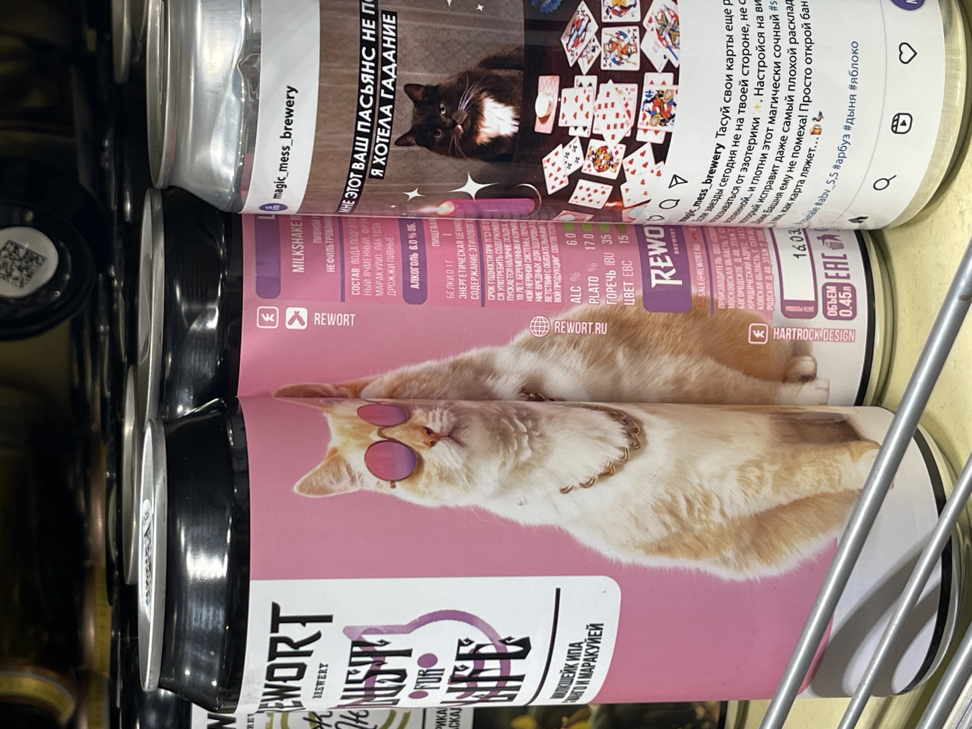 The image shows a close-up, eye-level view of several cans of beer on a shelf in what appears to be a store or brewery. The cans are arranged horizontally. The can on the left has a pink label featuring a fluffy orange cat wearing pink sunglasses and a gold chain, with the text "JUST FOR LIFE" in large, stylized letters. The can on the right has a white label with text in Russian and a picture of a black cat with white markings sitting on playing cards. There are also some metallic bars in the foreground, suggesting shelving. The lighting is artificial and focused on the cans. The background is dark and blurred, indicating a shallow depth of field. The overall impression is a commercial product display.