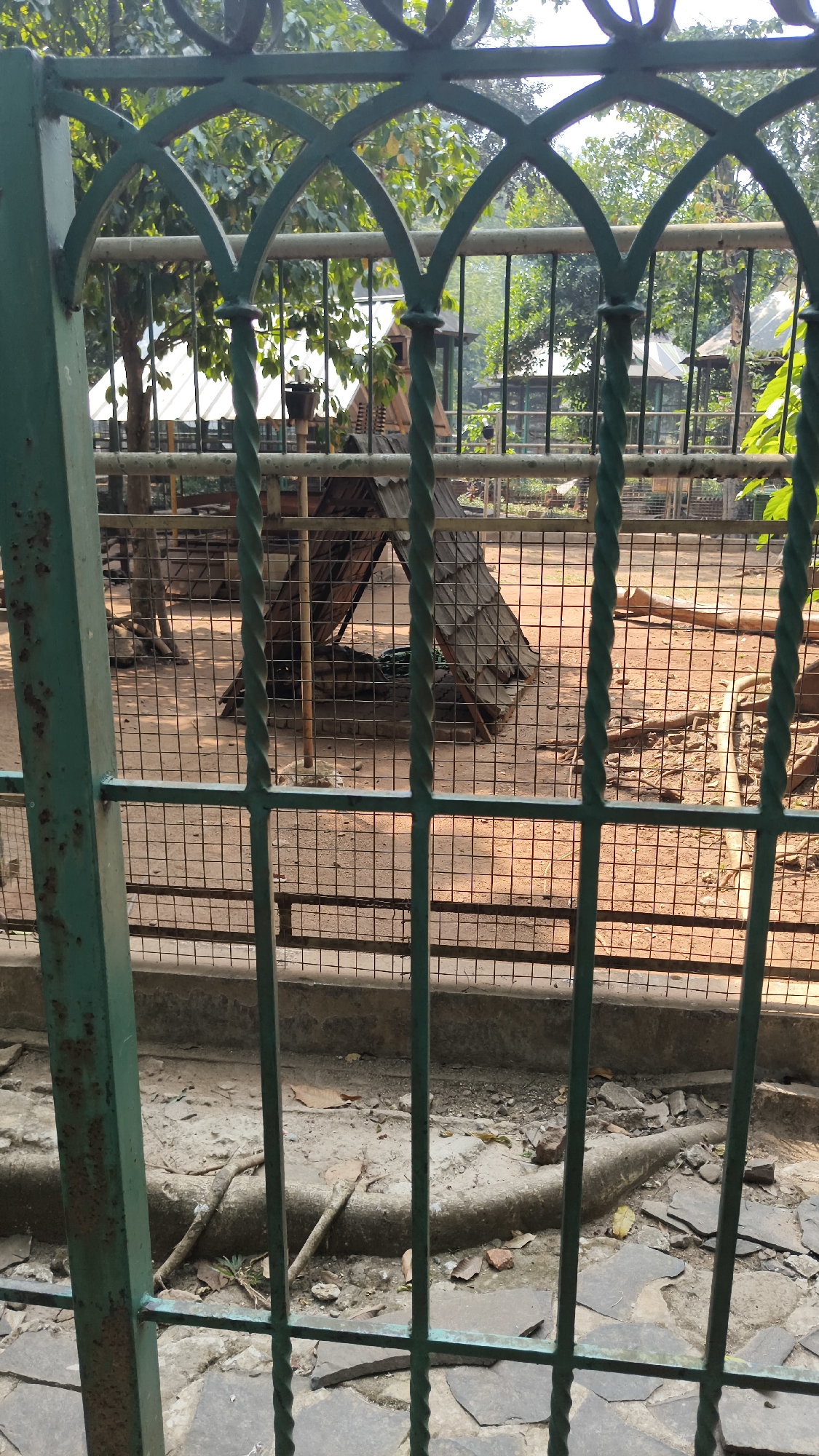 The image shows an outdoor enclosure, likely at a zoo or animal sanctuary. The enclosure is made of metal fencing, with a green, ornate gate in the foreground and wire mesh fencing in the background. Inside the enclosure, the ground is covered in reddish-brown dirt and scattered with fallen leaves and branches. There is a triangular wooden structure with a shingled roof, possibly a shelter or play structure for animals. In the distance, there are more fences and trees, with some white-roofed structures visible, suggesting other enclosures or buildings within the facility. The overall impression is of an animal habitat within an urban setting, potentially in South Jakarta, Indonesia, given the tropical foliage.