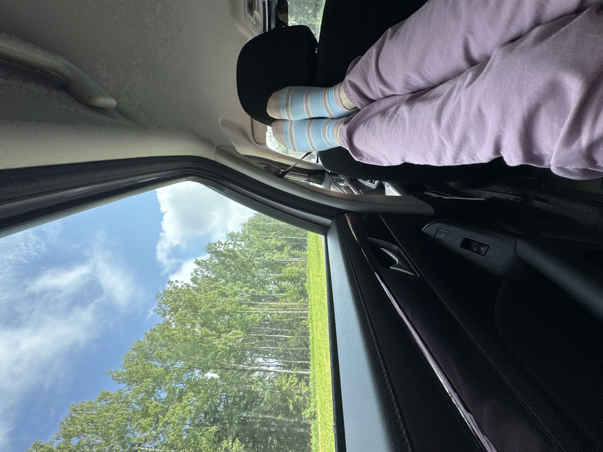 An interior view from a moving vehicle shows a person's legs extended forward, wearing light purple pants and blue and white striped socks. The legs rest against a black car seat. Outside the car window, a bright green field of grass is visible, bordered by a dense forest of tall, slender trees with light green foliage under a partly cloudy blue sky. The interior of the car features a black door panel with chrome accents and a window control. The image is taken from a low angle, emphasizing the traveler's relaxed posture and the scenic view.