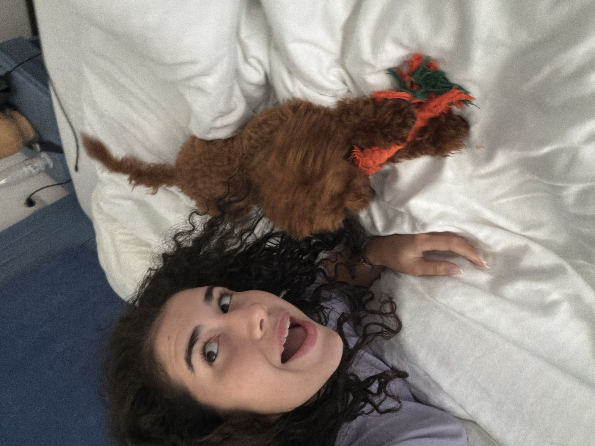 A young woman with dark, curly hair is lying in a bed with white linens, looking upwards with an open mouth and wide eyes. Beside her, a small, reddish-brown dog with a fluffy coat is lying on its side, its head and body blurred with motion. The dog is playing with an orange and green frayed rope toy. The background shows a blue headboard and what appears to be a bottle and some electronic devices on a nightstand. The overall impression is of a casual, playful moment in a bedroom. The location is not discernible from the image itself.