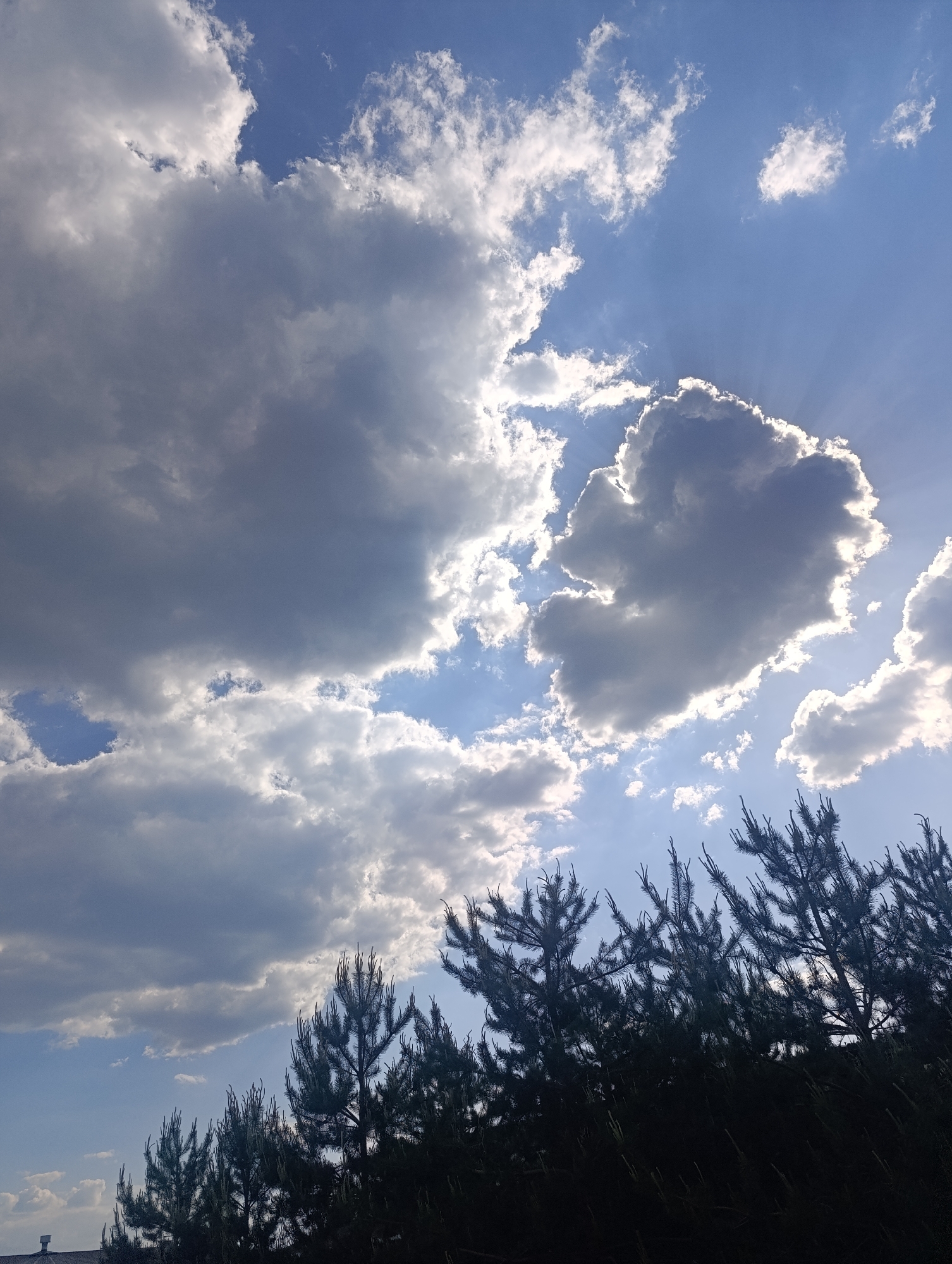 The image shows a view of the sky with clouds and the tops of trees. The sky is blue with scattered clouds of varying sizes and shades of gray and white. Sunlight is visible breaking through some of the clouds. The trees are dark and silhouetted against the bright sky. The location is Ivanovskoe, Russia.