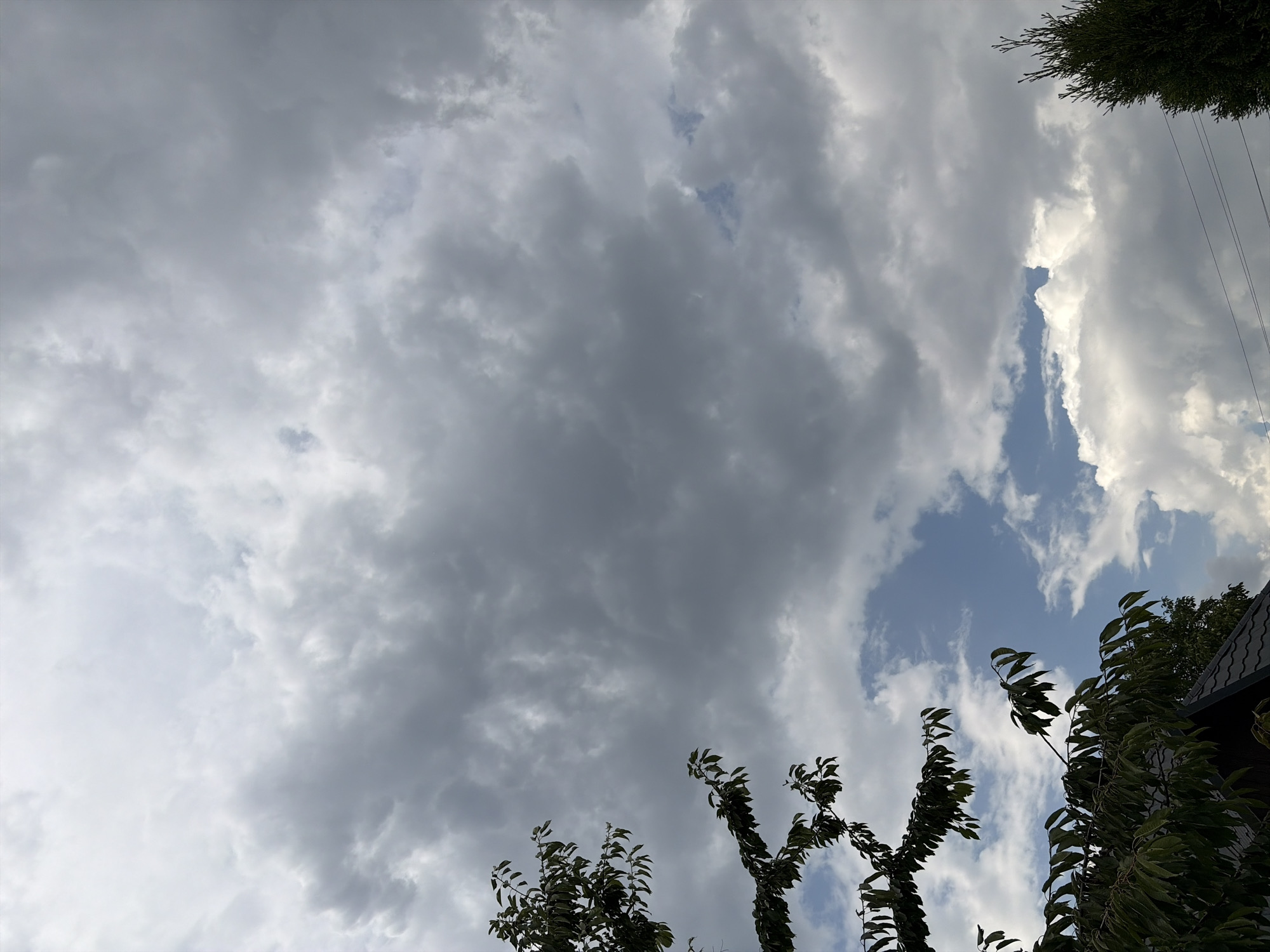The image shows a cloudy sky over Oxentea, Moldova. In the foreground, there are tree branches with green leaves on the left and a portion of a dark roof. On the right, a tall, dark green evergreen tree stands with some utility wires crossing in front of it. The sky is filled with a mix of dark gray, heavy clouds and lighter, brighter clouds, with patches of blue sky visible in between. The overall impression is that of an overcast or stormy day.