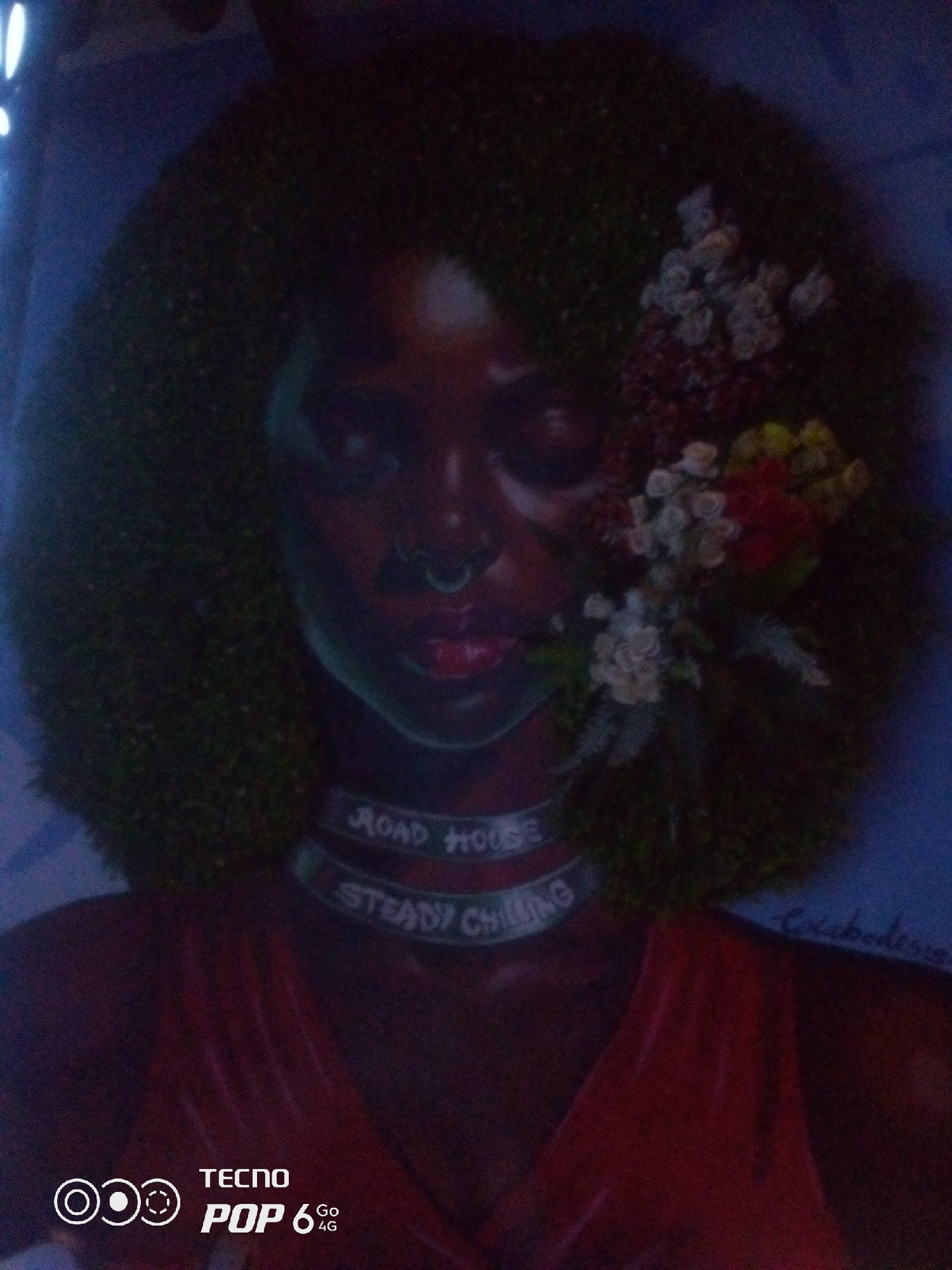 The image is a painting of a Black woman with a large afro. She is wearing a red garment and a choker necklace with the words "ROAD HOUSE" and "STEADY CHILLING" printed on it. There are flowers in her hair. The painting appears to be an artwork displayed in a private residence or gallery. The location within the city of Howayi, Nigeria is not specified in the image itself.