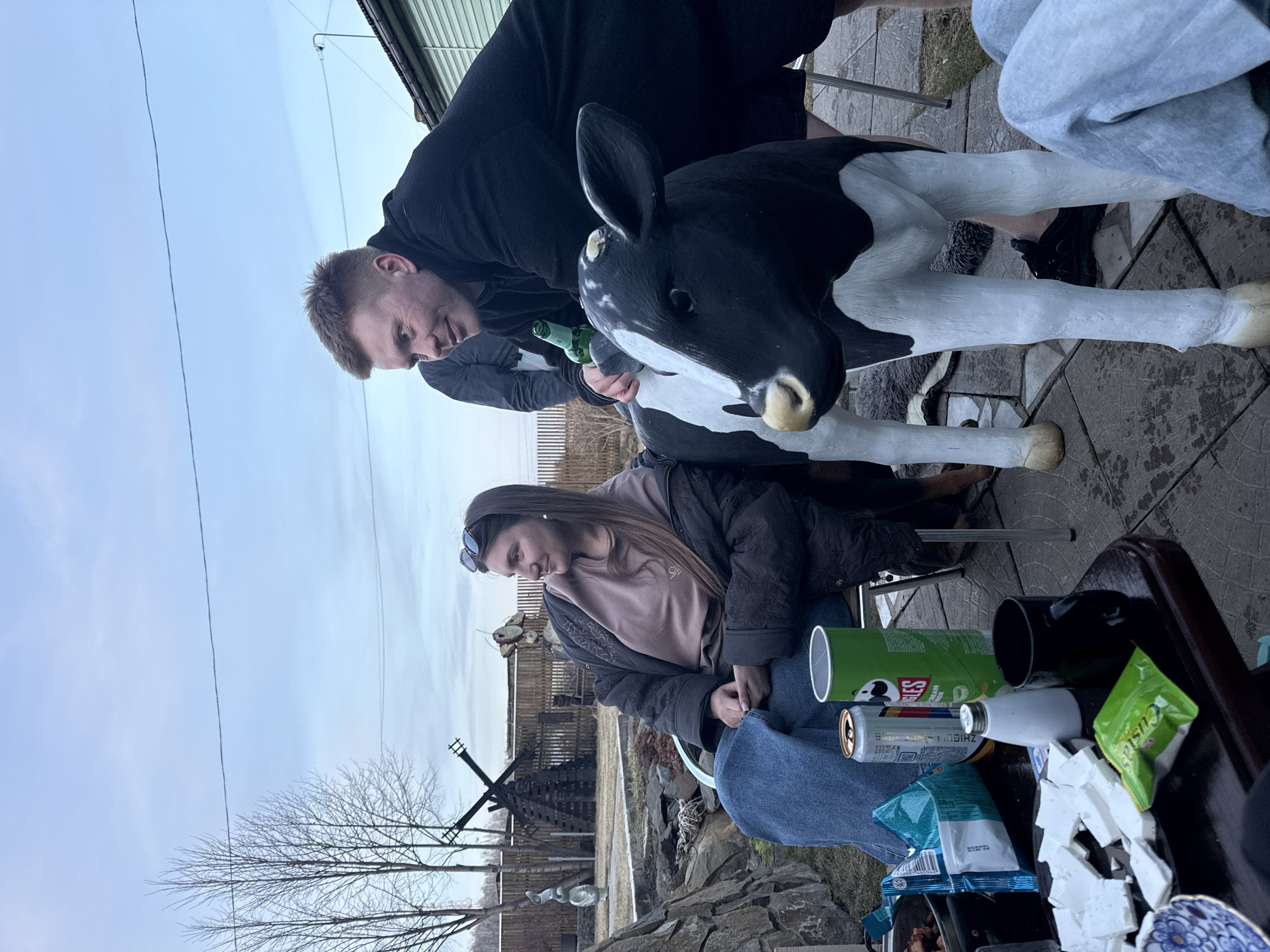 The image shows two individuals outside with a black and white cow statue. One individual is standing, leaning towards the cow statue, holding a green glass bottle. The other person is seated, looking down. There are Pringles, a drink can, food packets, and white foam pieces on a table or surface. The environment includes bare trees, a fence, and a building. There is no definitive evidence to confirm the location as Sukhobuzimskoye, Russia.