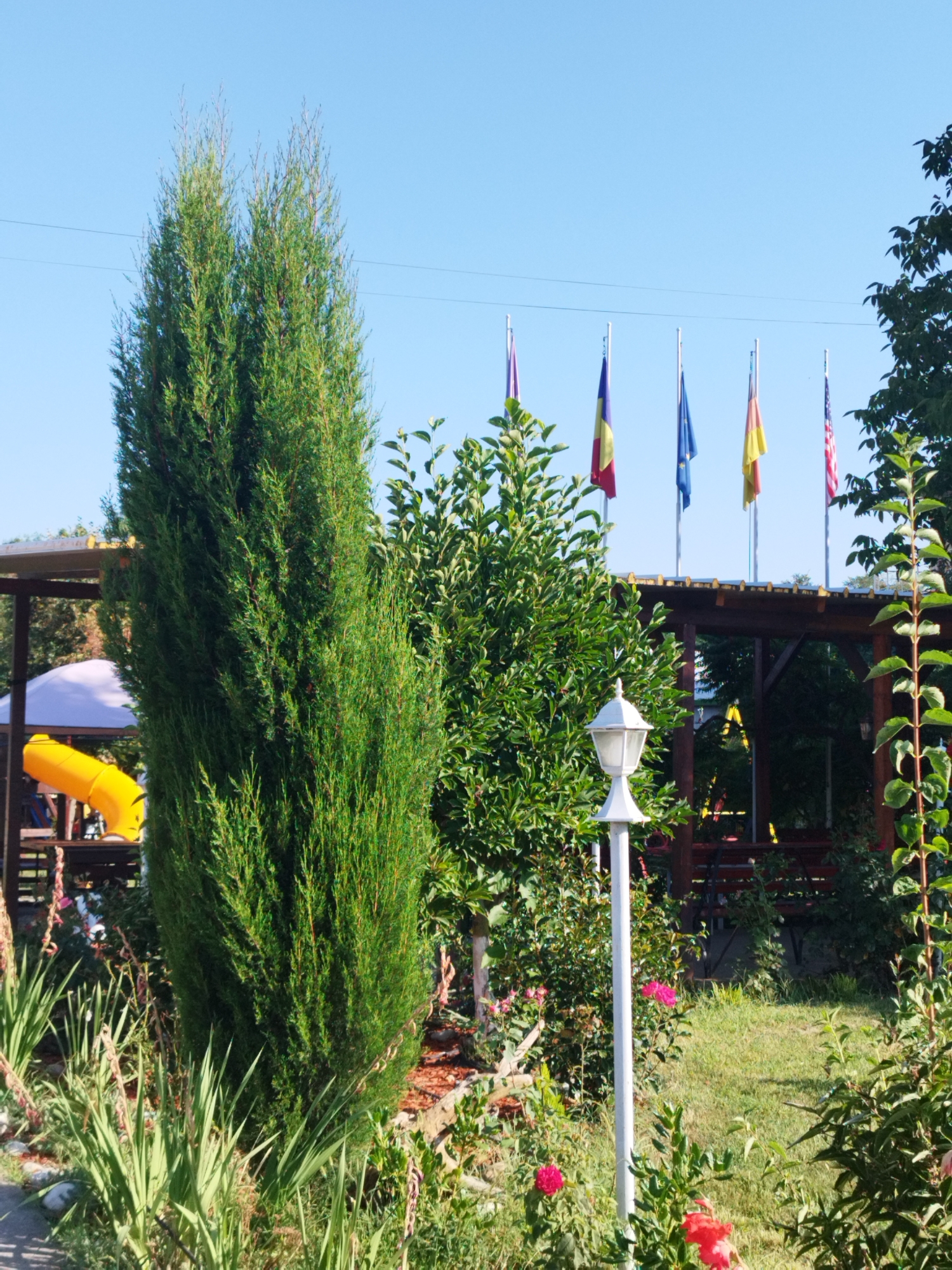 In a sunlit outdoor setting, possibly a park or garden in Bucharest, Romania, a tall, slender evergreen tree stands prominently in the foreground. Behind it, a lush green bush grows, partially obscuring a white lamppost. Further in the background, a wooden gazebo with a peaked roof is visible, with a bright yellow slide emerging from its side. Above the gazebo, a clear blue sky forms the backdrop, with several national flags on poles: Romania's flag, the European Union flag, Germany's flag, and the American flag are clearly discernible. The ground is covered with green grass, and a pathway is visible in the lower left corner. The overall scene suggests a pleasant, recreational outdoor area.