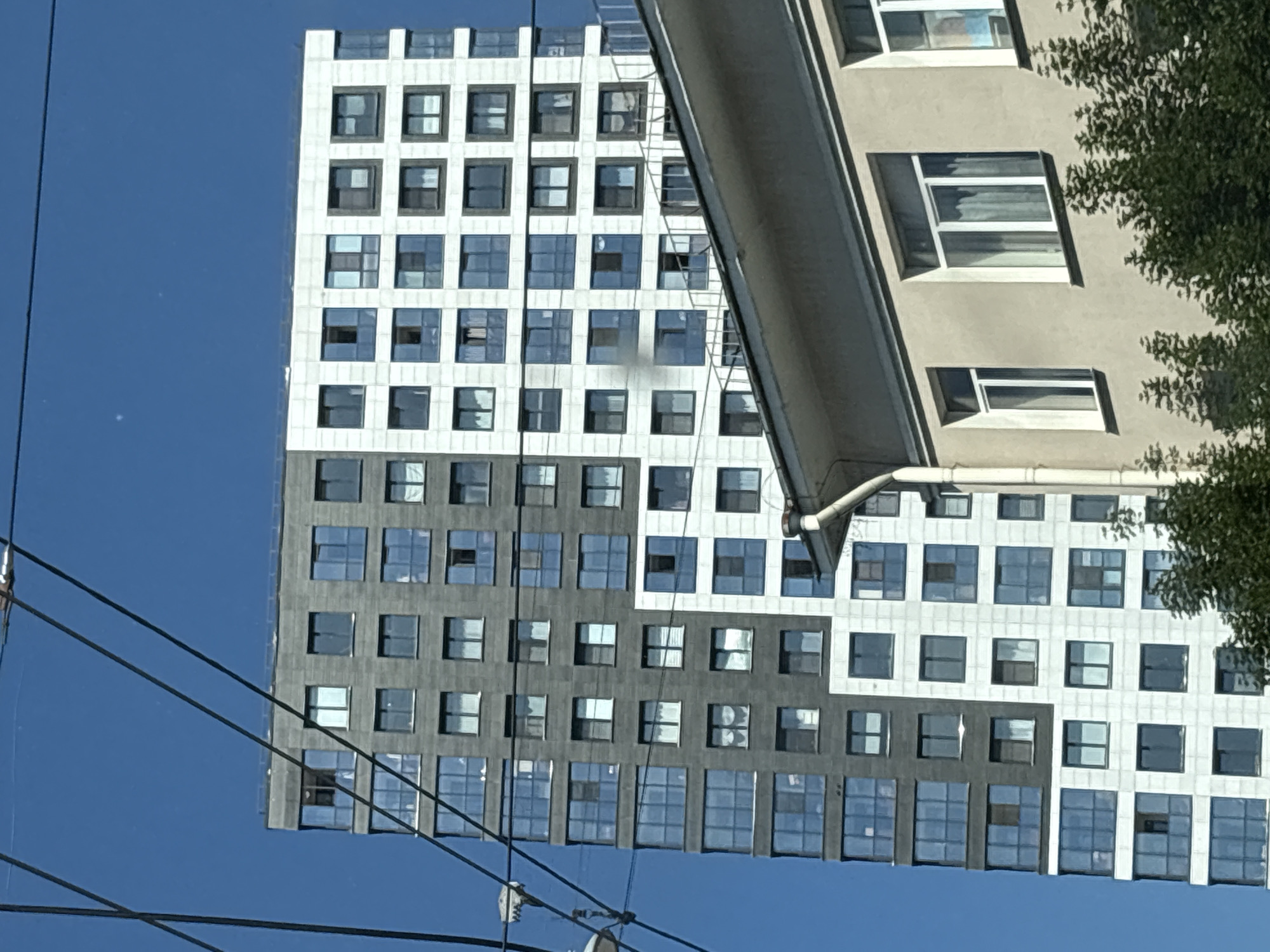 This is a close-up, low-angle shot of a modern apartment building in Saint Petersburg, Russia, partially obscured by overhead power lines and a lower, older building in the foreground. The sky is a clear, bright blue. The modern building has a distinctive facade, split vertically down the middle. The left half is a dark gray material, possibly stone or concrete panels, with rows of windows. The right half of the building is clad in white panels, also with uniformly spaced windows. The windows are mostly reflective, showing the blue sky and some interior details like blinds and curtains. The lower building, in the foreground, appears older, with a neutral-colored stucco facade and several windows with white frames. A downspout is visible on the corner of this building. Trees and greenery are visible below the lower building. The scene appears to be a daytime view.