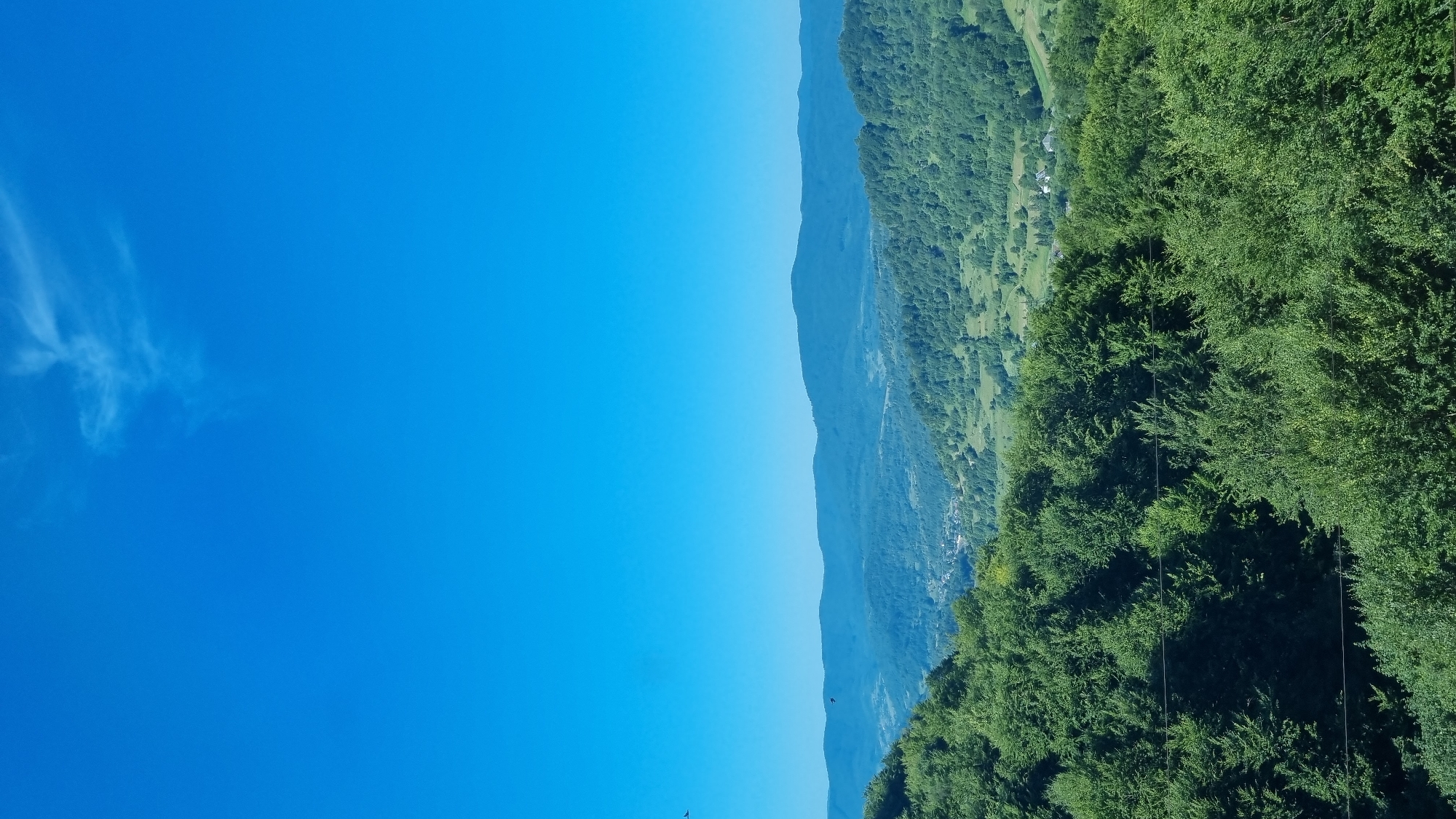 The image captures a sweeping panoramic view of a lush, green mountainous landscape under a clear, bright blue sky. The foreground is dominated by dense, verdant trees, with their foliage creating a textured, vibrant green carpet that slopes downwards. Two faint, dark horizontal lines, possibly wires or thin branches, are visible crisscrossing the lower part of the image through the trees. In the mid-ground, rolling hills covered in a mosaic of green fields and more trees recede into the distance. Scattered throughout these hills are small clusters of buildings, suggesting a rural settlement or village. The background features layered mountain ranges, progressively fading in color and detail as they stretch towards the horizon. A few wispy white clouds are present in the upper portion of the sky. The overall impression is one of a serene, natural environment, likely in a rural or mountainous region. The location is identified as Volosianka, Ukraine.
