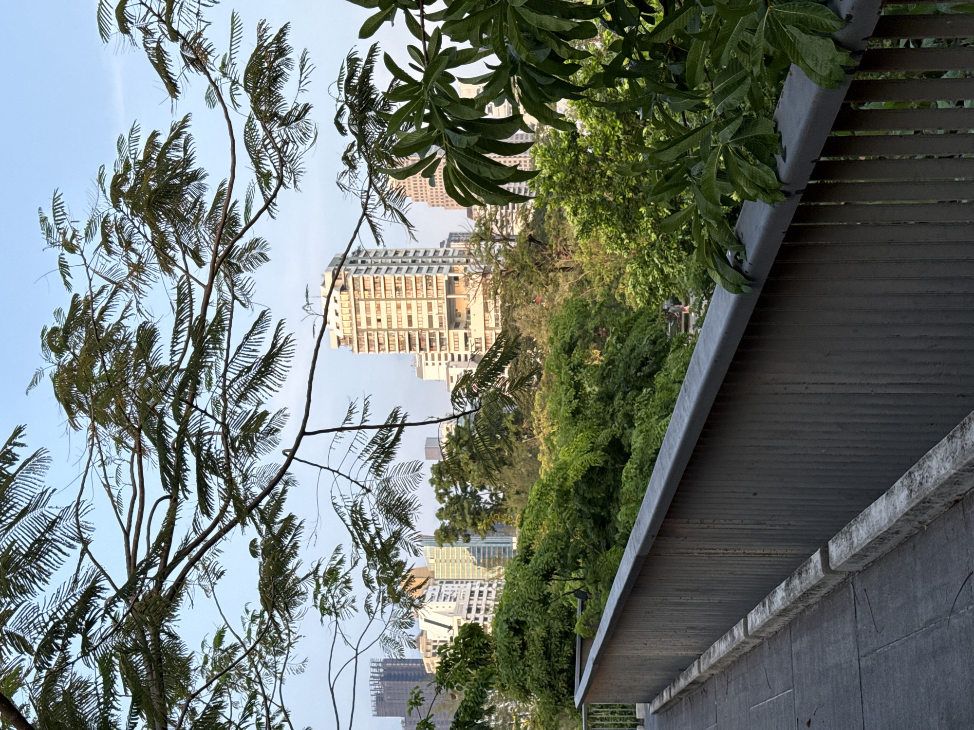 The image shows a view in Bangkok, Thailand. The frame is partially obstructed by trees and foliage. The architecture consists of multiple high-rise buildings in the background. In the foreground, there's a concrete structure, possibly a pedestrian overpass or a bridge, with a metal railing. The sky is visible in the top left, and the overall environment is urban with a mix of green spaces.