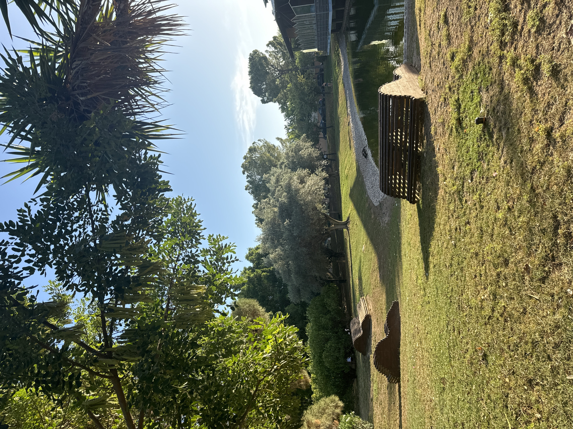 The image depicts a park scene with a pond on the right side, reflecting the surrounding trees and sky. Several wooden, wave-like sculptures are placed on the grassy area in the foreground and middle ground. Two ducks are visible near the edge of the pond. In the background, there are various trees, including olive trees, and a wooden structure resembling a pavilion with large windows. A woman with a dog is walking near the pond in the middle ground. The sky is clear and blue, indicating a sunny day. The scene is likely located in the city of Murcia, Spain, as it resembles the botanical garden "El Huerto de la Font" or a similar park area known for its natural beauty and recreational spaces.