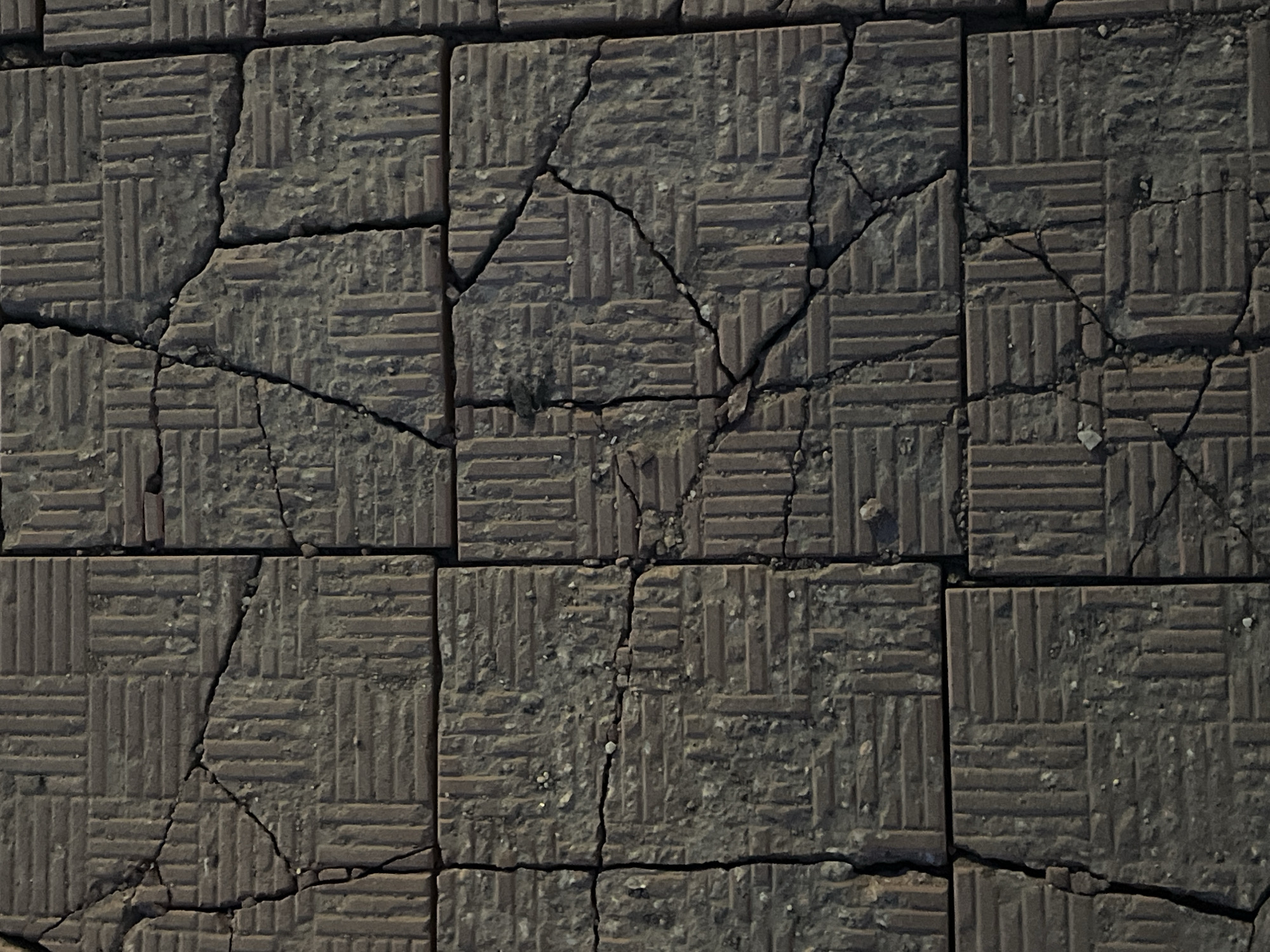 The image shows a close-up of cracked, rectangular paving stones, likely made of concrete. Each stone features a textured surface with a repeating pattern of perpendicular lines. Cracks of varying widths traverse the stones, some running along the joints between them, while others cut across the surface of individual stones. Small bits of debris are scattered within the cracks and on the surface of the stones. The overall tone of the image is gray and weathered. This kind of paving is often used for sidewalks and other pedestrian areas in cities. Based on the visual characteristics and the likelihood of similar paving stones being used in Saint Petersburg, Russia, this image might depict cracked paving stones in a pedestrian area within the city.