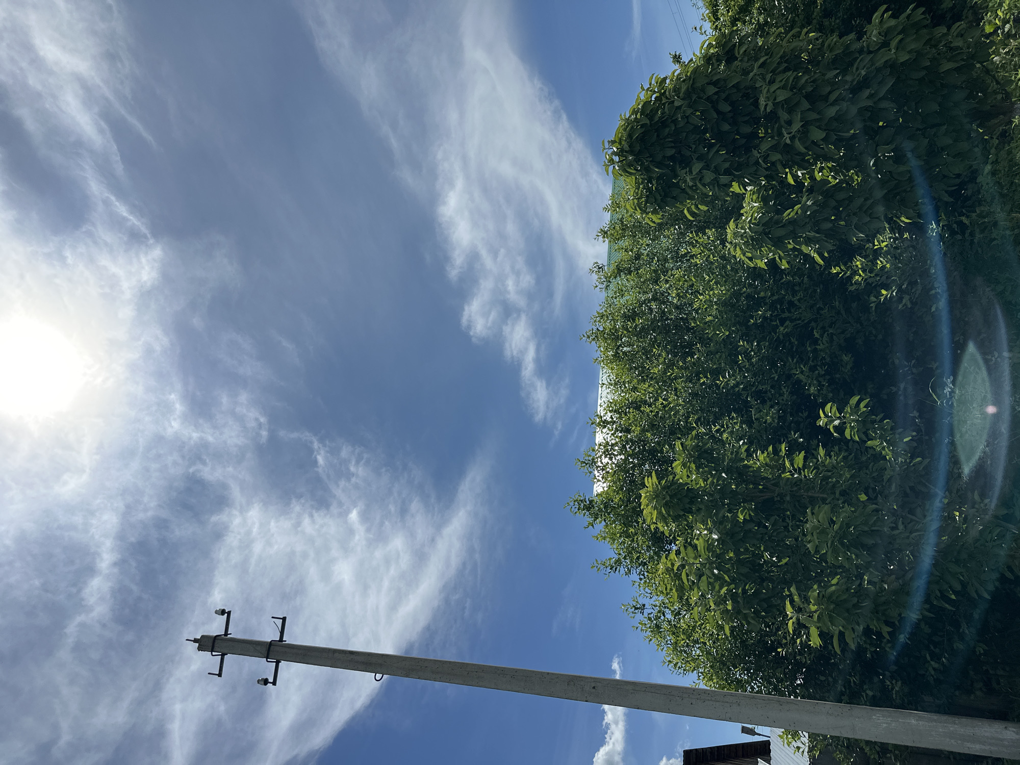 The image shows an outdoor scene with a concrete utility pole on the left, a dense canopy of green trees in the center and right, and a bright sky with scattered clouds and the sun at the top. The utility pole has two porcelain insulators attached to crossbars. The trees are lush and full of leaves, obscuring what appears to be a building with a green roof behind them. A lens flare is visible at the bottom center of the image. The setting appears to be a rural or suburban area.