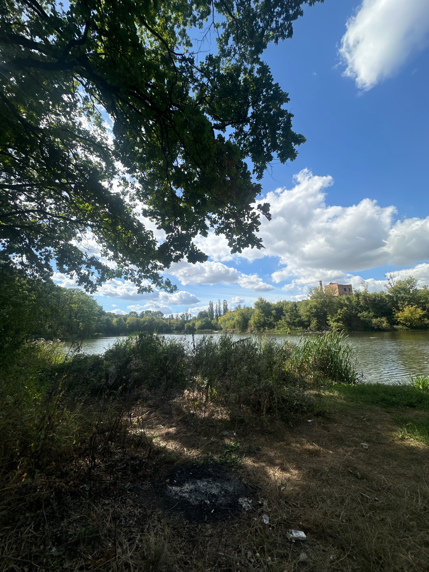 This is a photograph of a body of water, likely a lake or river, surrounded by vegetation. The foreground consists of dry grass, weeds, and some scattered debris, including what appears to be cigarette butts and possibly food wrappers. Sunlight filters through the leaves of a large tree in the upper left corner, casting dappled shadows on the ground. In the middle ground, the water is calm, with reflections of the sky and trees. The background features a dense line of trees and a brick building with a chimney visible on a distant hill. The sky is blue with scattered white clouds. The scene depicts a natural environment with signs of human presence and potential neglect due to the litter. Based on the provided information, this location is within the city of Makiv, Ukraine.