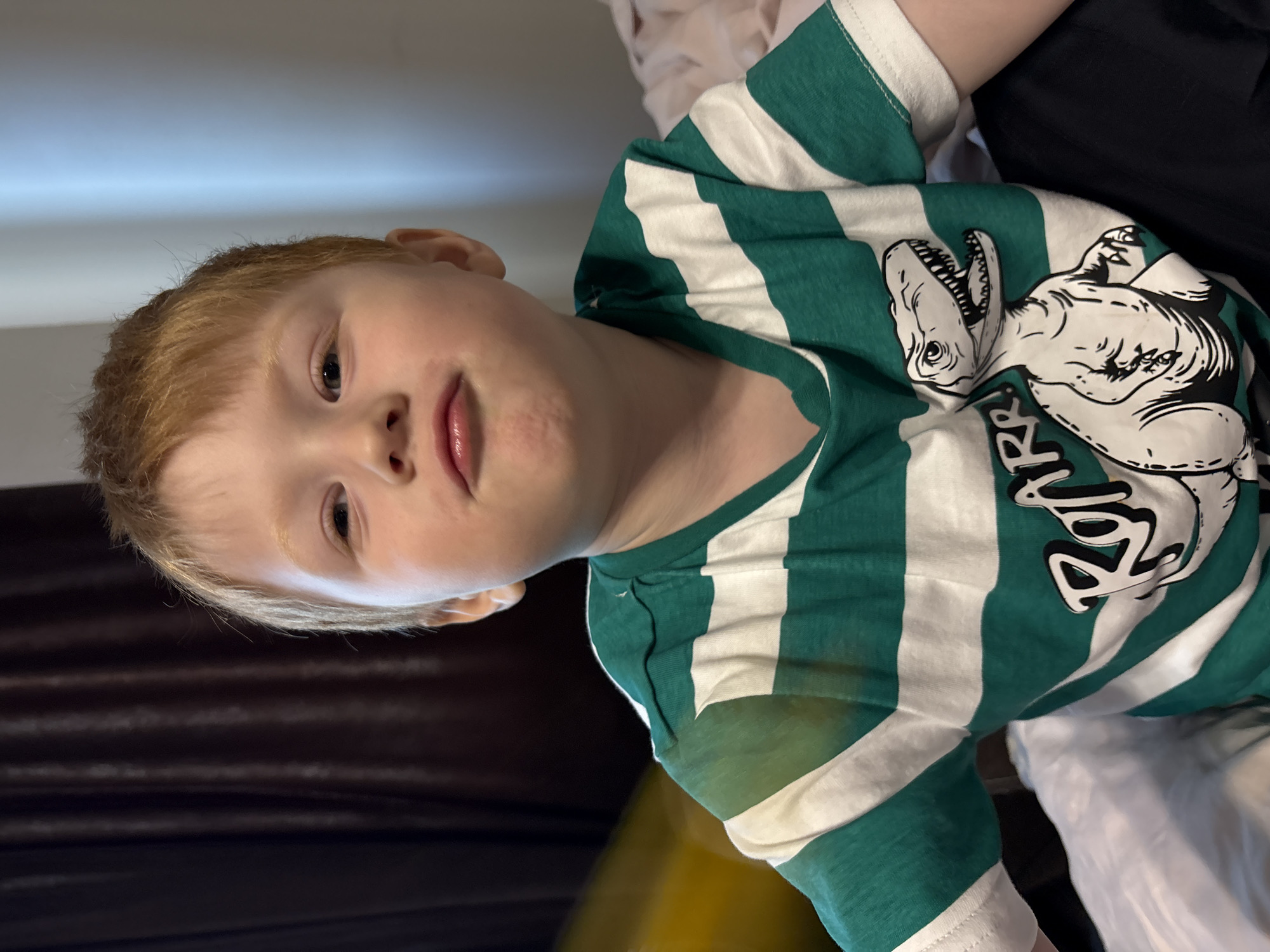 A young, red-haired child is pictured wearing a green and white striped shirt with a dinosaur print. The background appears to be an interior setting with dark furniture. No evidence indicates a specific location such as Izhevsk, Russia.