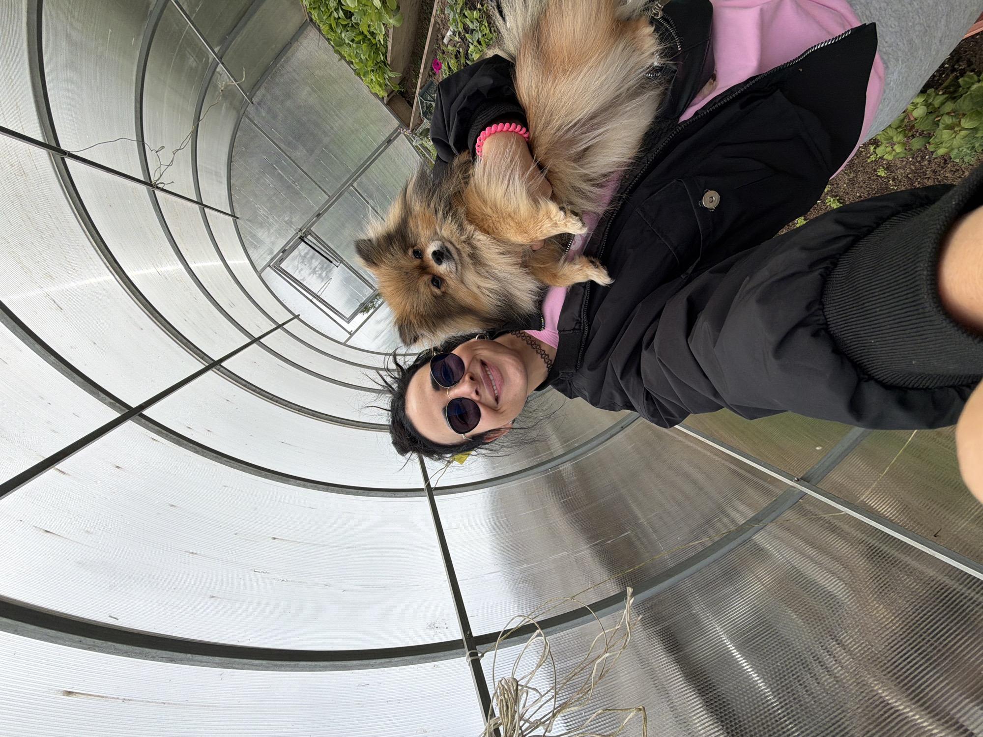 A woman wearing sunglasses, a pink hooded sweatshirt, and a black jacket is holding a Pomeranian dog in what appears to be a greenhouse. The greenhouse has a curved, corrugated plastic roof and metal framing. Based on location data, the scene is in Бронницы, Russia.