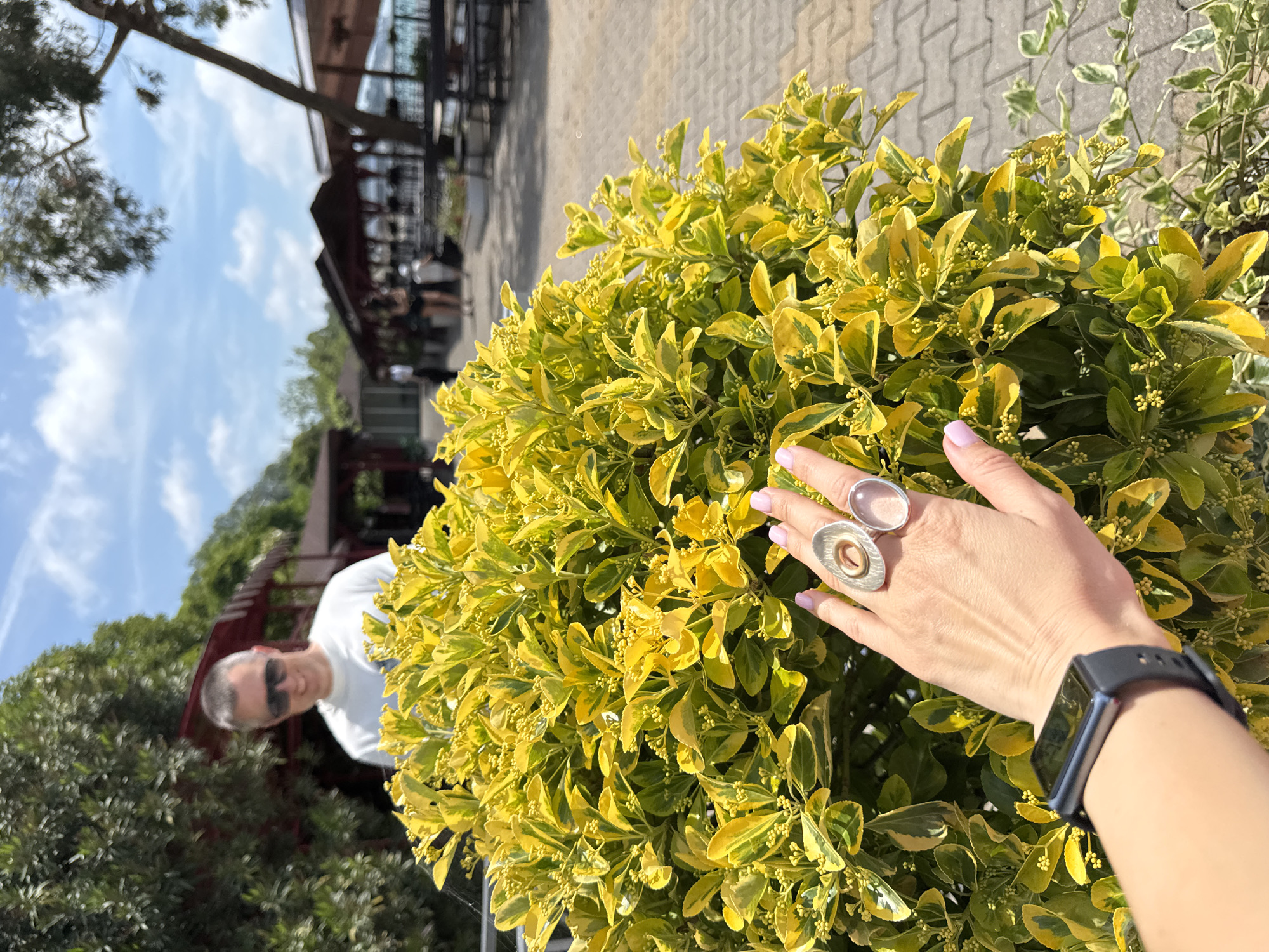 The image presents a sunlit outdoor scene, with a human hand in the foreground reaching towards a large, variegated bush, while a blurred background reveals architectural structures and a male figure.
In the lower-left foreground, a fair-skinned hand, featuring light pink painted fingernails, extends towards the center-right. This hand wears two distinct rings: a silver-toned oval ring on the ring finger with a golden-toned oval insert, and a silver-toned oval ring on the middle finger set with a translucent, pale pink stone. A dark-colored smartwatch with a black strap is affixed to the wrist.
The central focus is a dense, spherical bush displaying variegated foliage, primarily bright yellow with green margins. Numerous small, spherical yellow flower buds are distributed throughout the plant.
In the blurred upper-left background, a male figure is visible, positioned behind the bush. He has short, grey hair, wears dark sunglasses, a white t-shirt, and is smiling.
The mid-to-far background features grey interlocking pavers on the ground. Several blurred open-air structures with dark red roofs and dark support columns are arranged in the distance, characteristic of an outdoor dining or lounge area. Intermittent blurred human figures are discernible among these structures. Green trees and foliage are present throughout the background. The upper portion of the image displays a clear blue sky with scattered white clouds and a faint aircraft contrail. A narrow, horizontal strip of calm blue water is visible on the far right, beyond the structures, suggesting a coastal or waterfront location.
The scene is situated in the city of Sochi, Russia.