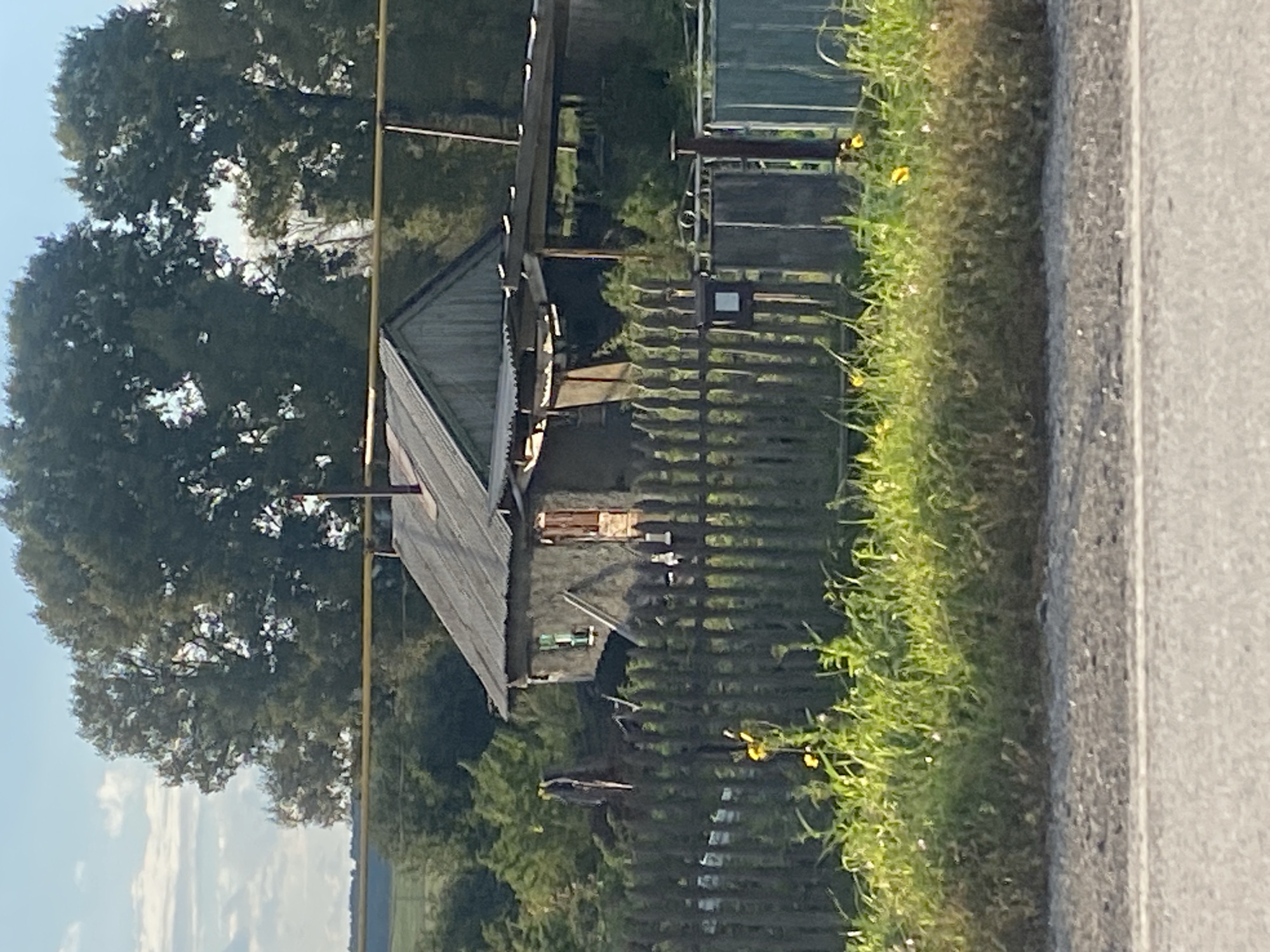 The image shows a weathered, wooden-framed house with a corrugated metal roof in Медведское, Russia. The house appears aged and in disrepair, with visible patches on its exterior walls. A wooden fence, also showing signs of age with some palings missing or damaged, runs across the foreground. Beyond the fence, a patch of tall green grass with scattered yellow wildflowers grows. In the background, several mature trees with dense foliage stand against a partly cloudy sky. A yellow pipe runs horizontally across the mid-ground, supported by poles. The scene is set during daylight, likely in the late afternoon or early morning, given the quality of light.