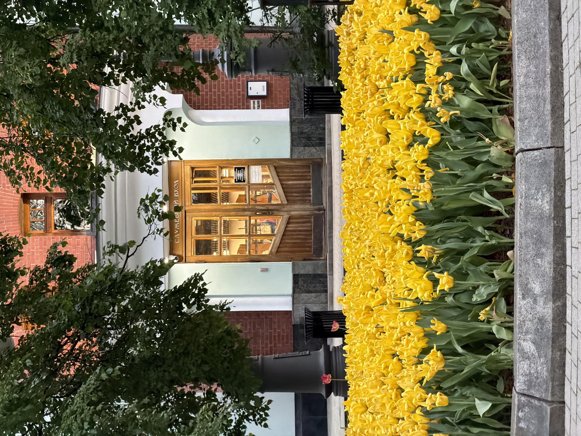 A view of a flower bed with yellow tulips bordering a sidewalk with a building entrance in the background. The building is made of brick and has a wooden door with glass panes and a white arch above the door. To the left, trees with green leaves frame the view. The photograph was taken in Moscow, Russia. The sign on the door says "Служебный вход".