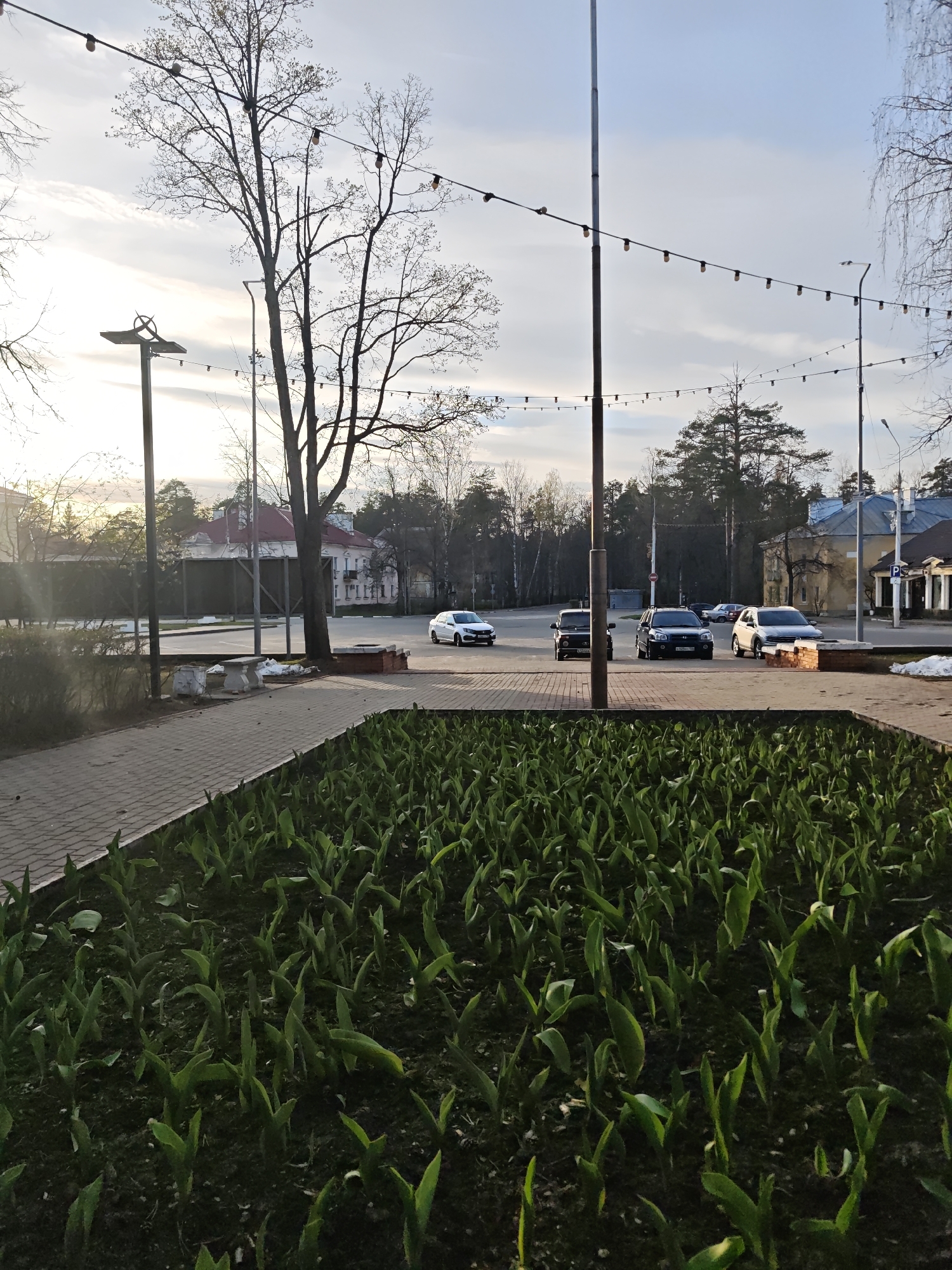 The image depicts a park-like area in Krasnaya Gorka, Russia, featuring a rectangular bed of young green plants in the foreground. Behind this, a paved walkway leads to a street with several parked cars. Buildings are visible in the background, obscured by trees. Overhead, strings of lights are strung between poles. The sky is overcast.