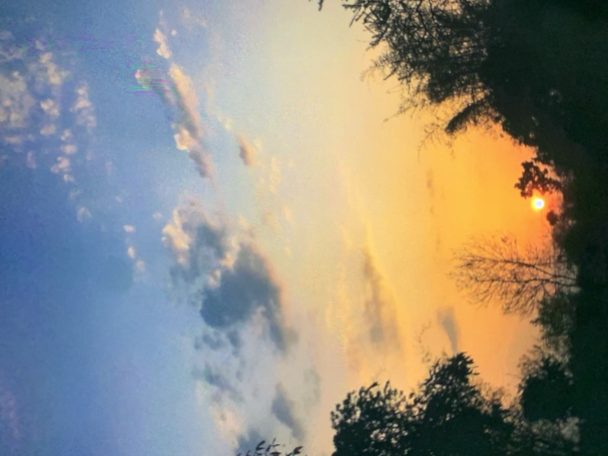 The image captures a vibrant sunset in Dar es-Salaam, Tanzania. The sky transitions from a clear blue with scattered white clouds on the left to a fiery orange and yellow on the right. Silhouetted tree branches and foliage frame the scene, particularly along the top and right edges, suggesting the location is near a wooded area or park. The sun is visible as a bright orb, partially obscured by tree branches, casting a warm glow.