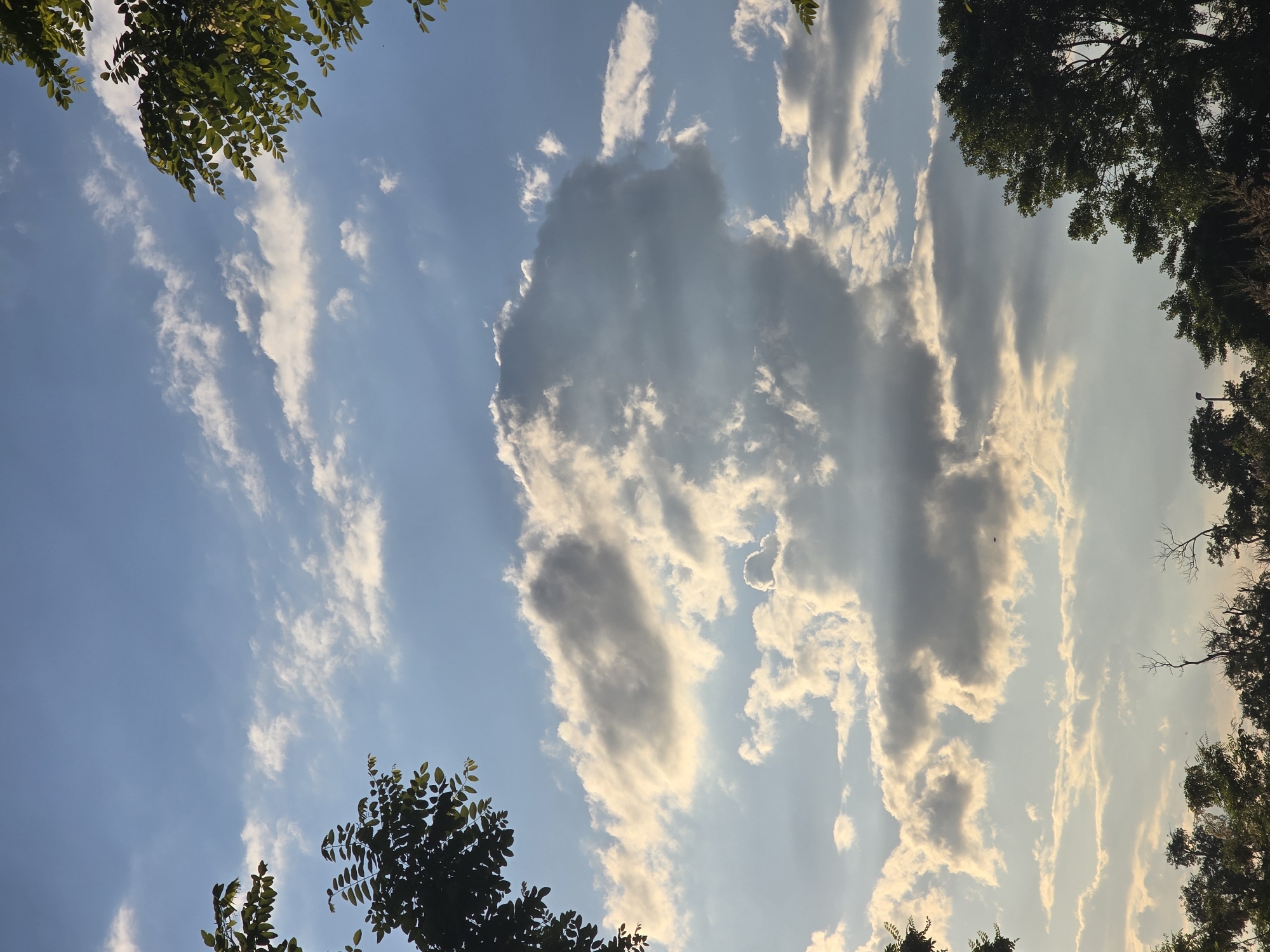 The image presents a view of a sky with scattered clouds, partially framed by tree foliage in the foreground. The sky transitions from a light blue near the horizon to a deeper blue higher up. The clouds vary in form, from thin streaks to more substantial, darker clusters. The trees' leaves appear green and dense, partially obscuring the edges of the frame. The perspective is looking upwards, suggesting the image was taken from a ground-level position. Location of the image is unknown.