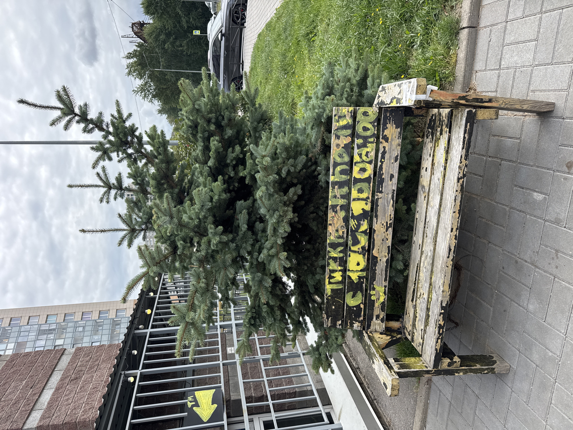 The image depicts a weathered wooden bench with graffiti, located in the city of Sinyavino, Russia. The bench is situated on a paved walkway next to a grassy area with a small evergreen tree behind it. The graffiti on the bench appears to be in yellow and black paint and includes some Cyrillic characters and what looks like numbers. In the background, a modern apartment building and a dark-colored car parked on a street are visible. The sky is overcast. A yellow arrow sign pointing left is mounted on a fence to the left of the bench.