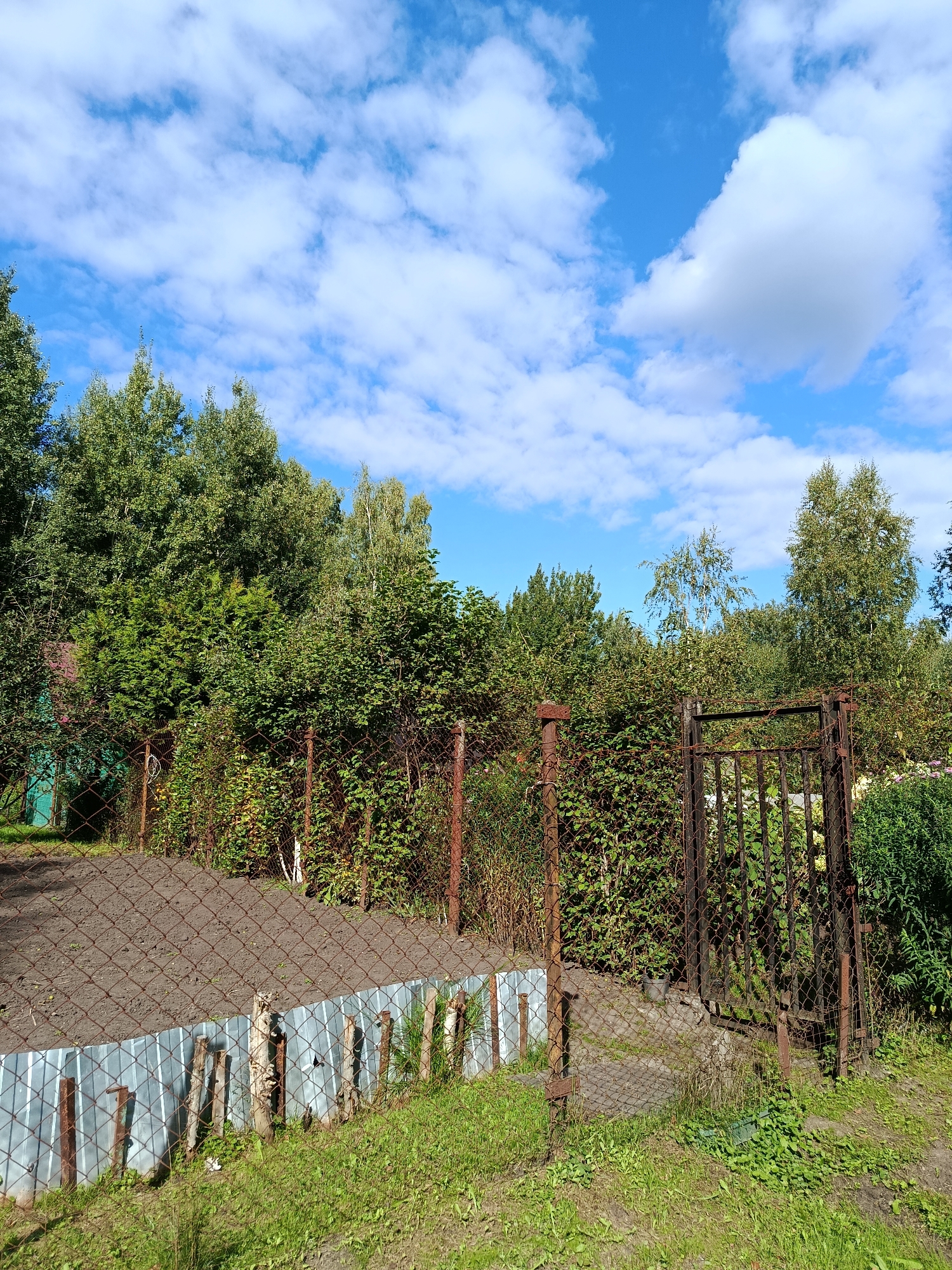This is a high-angle, outdoor, full shot of a yard with trees and a fence. The sky is blue with scattered white clouds. A chain-link fence with rusty metal posts runs diagonally across the foreground and midground. Behind the fence is a patch of bare soil with some small, light-colored wooden stakes sticking out of it, and a lower section of corrugated metal sheeting acting as a retaining wall. Beyond this, a dense line of various green trees and bushes forms a thick natural barrier. To the right, a rusty, metal gate is visible, also constructed of chain-link fencing with metal posts. The ground in front of the fence is covered in green grass. The overall impression is of a backyard or garden area, likely in a suburban or rural setting within the city of Vereya, Russia, given the architectural style of the gate and the vegetation. There are no people visible in the image.