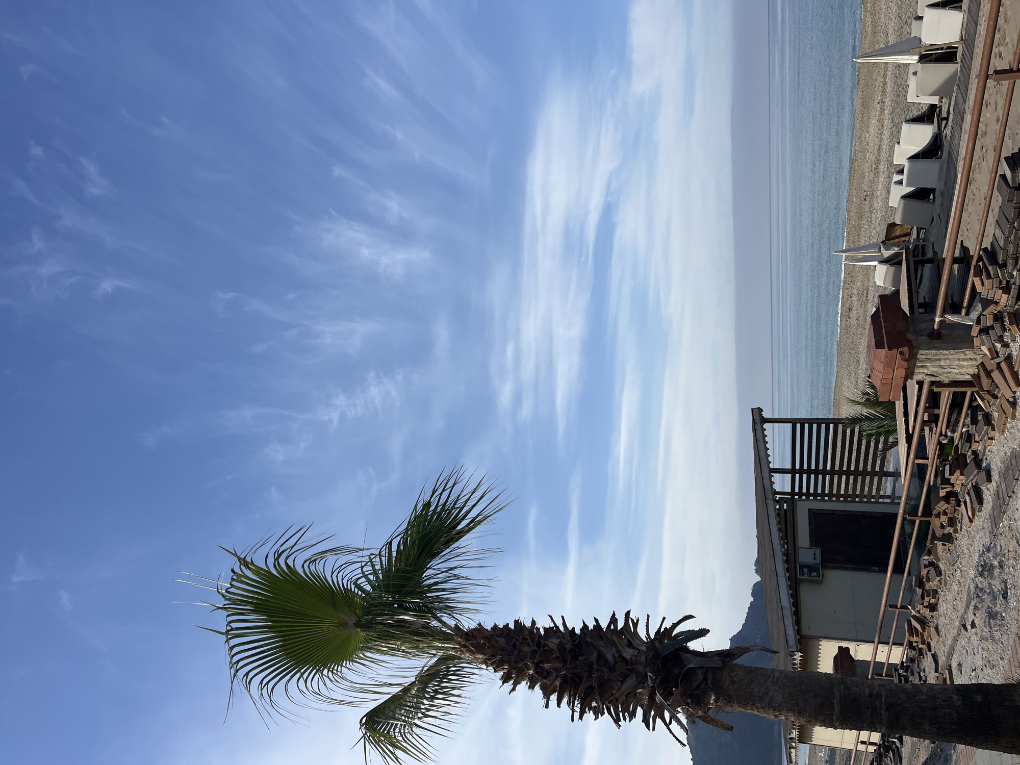 This landscape image, taken in Alanya, Turkey, depicts a serene coastal scene under a clear blue sky. The picture is dominated by a large palm tree on the left, its green fronds fanning out against the bright sky, with its textured brown trunk extending downwards out of view.
The sky is a vibrant blue, adorned with delicate, wispy white clouds that stretch horizontally across the upper portion of the frame, suggesting fair weather. To the right, the calm, greyish-blue sea extends to a distant horizon, where it meets a hazy sky or faint landmass. Along the shoreline, a stretch of sandy or pebbly beach is visible, populated by several rows of stacked white beach loungers or parasols.
Further right on the beach, there are man-made structures including what appears to be a small, light-colored building or shack with a dark door and an air conditioning unit. Above this building is a wooden slatted deck or balcony. Adjacent to these structures, piles of bricks and metal bars are stacked on the ground, indicating either construction or storage. In the far distance, beyond the beach structures, gentle mountains are silhouetted against the horizon.
The scene appears peaceful, captured in bright daylight, likely during the morning or late afternoon, as suggested by the soft, even lighting. There are no people visible, and no specific activity or event is taking place, contributing to a tranquil atmosphere. No visible text is present in the image.