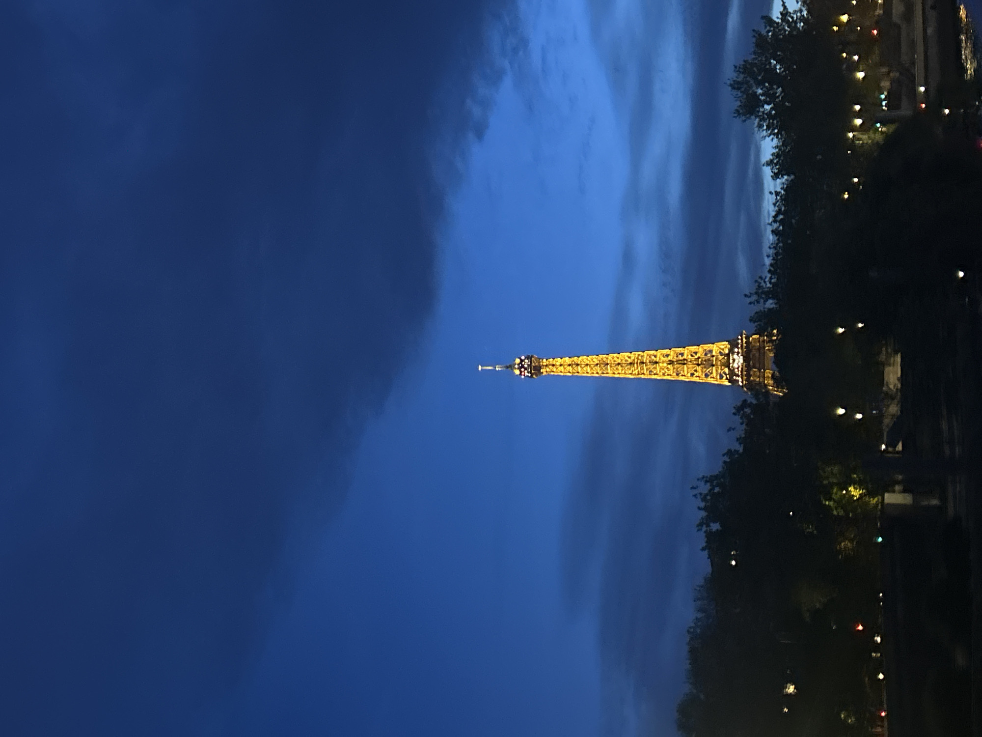 The image shows the Eiffel Tower in Paris, France, illuminated at night. The tower is positioned between a dark blue sky and a silhouetted treeline with some visible lights, suggesting an urban environment along a riverbank. No people are visible.