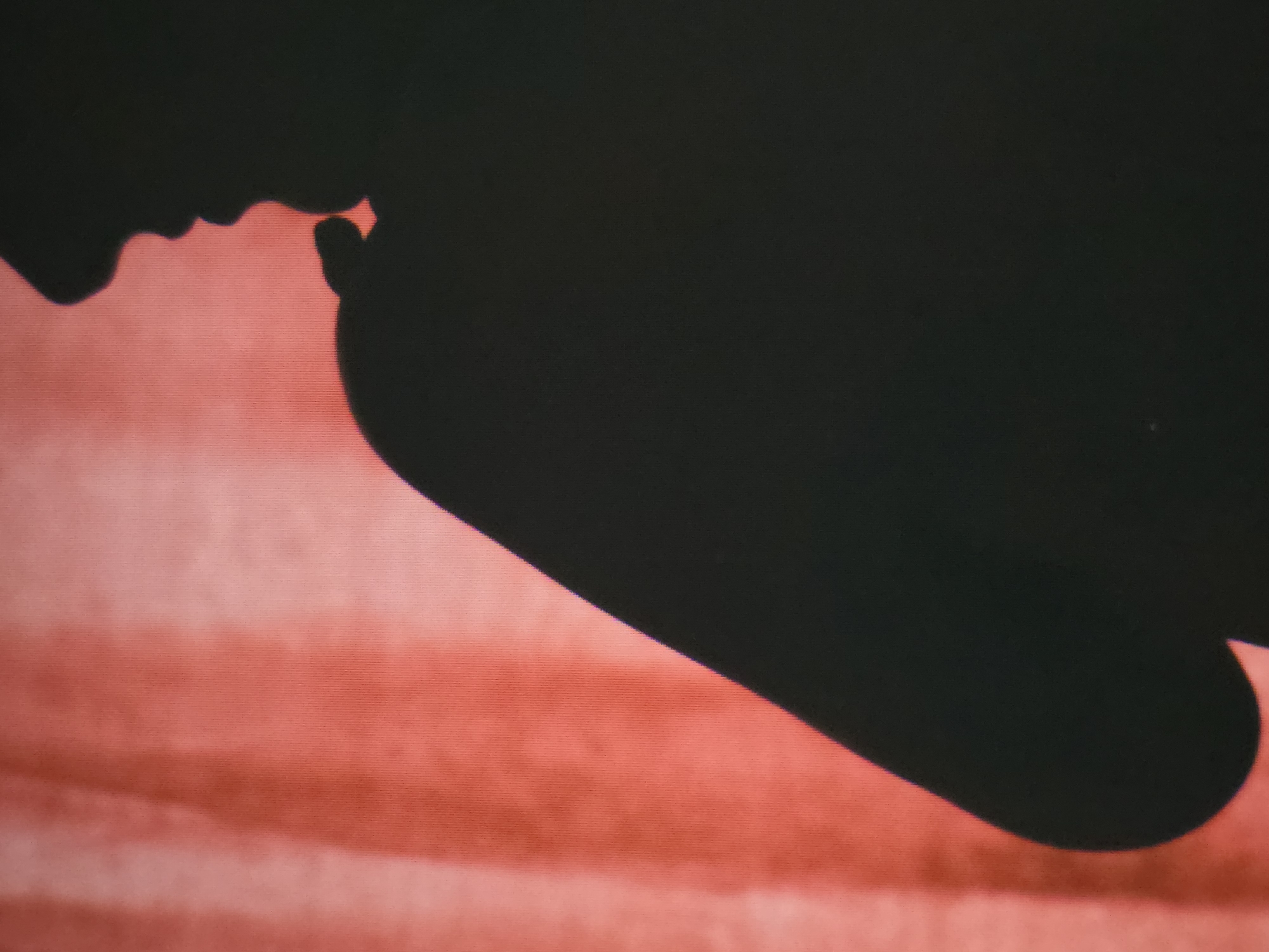 A silhouetted profile of two individuals facing each other, potentially kissing or in close proximity. The background is a reddish-orange hue with horizontal lines suggesting a screen or textured surface. The location is unspecified as "Unknown, Unknown."