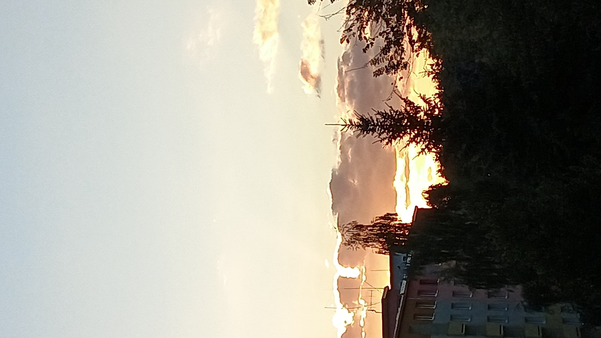 A vertical, medium-angle shot captures a sunset over the city of Sokolov, Czechia. The sky is a gradient of pale blue at the top fading to a soft yellow and orange near the horizon. Several clouds are visible, tinged with the warm colors of the setting sun. In the foreground, a dark silhouette of trees obscures the lower portion of the image. To the left, a section of a multi-story apartment building is visible, its windows outlined by the fading light. The top of the building has a reddish-brown roof. A tall tree with sparse branches stands near the center of the image, silhouetted against the sky. A conifer tree is prominent on the right side, also silhouetted. The overall scene depicts a quiet, urban sunset.