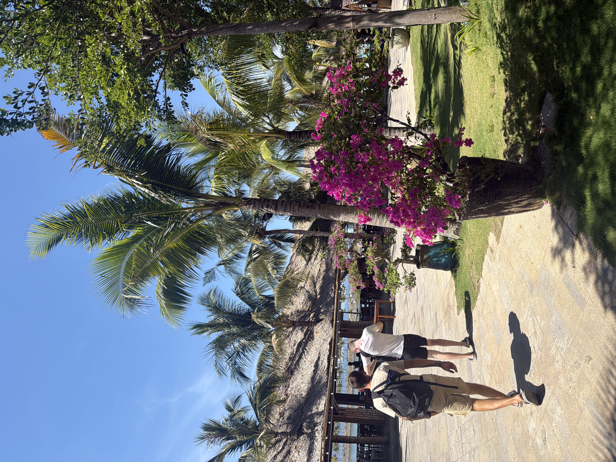 Two male figures stand on a stone-paved walkway in Bac Nha Trang Ward, Vietnam. One man wears a light-colored shirt and dark shorts, while the other sports a darker shirt, khaki shorts, and a black backpack. The environment features palm trees and a vibrant pink bougainvillea bush. A restaurant with a thatched roof is visible in the background.
