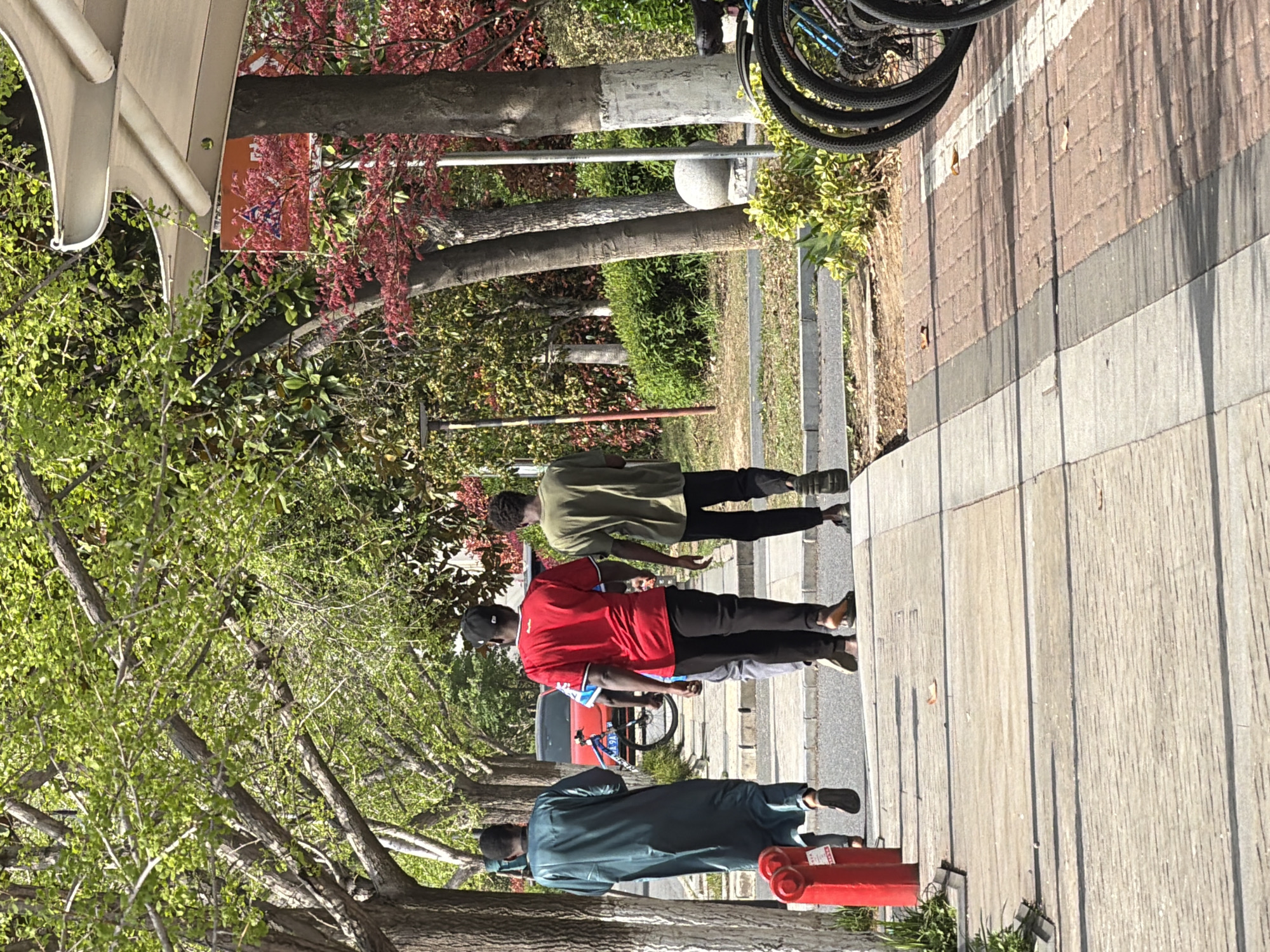 Three people stand on a sidewalk, partially obscured by trees. One wears a green-tinted robe and stands near a red fire hydrant. The second wears a red shirt and a baseball cap. The third wears a green shirt. Bicycles are parked nearby. The location is identified as Jiangning District, China, based on the license plate, which starts with the prefix “苏A." The environment includes sidewalks, trees, and buildings. The sun casts shadows, indicating daylight.