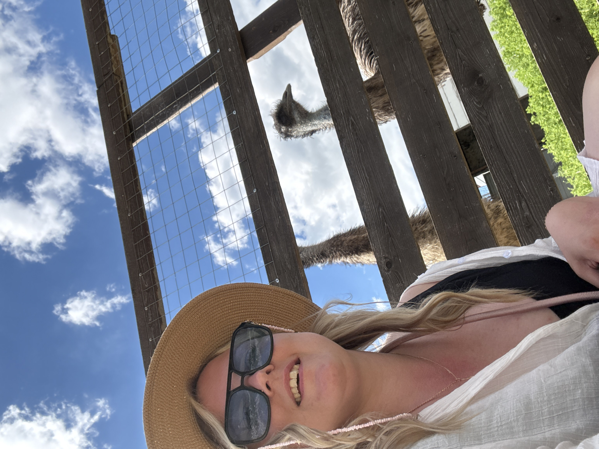 This image is a low-angle, tilted photograph of a woman interacting with large birds at an outdoor animal enclosure in Gay-Kodzor, Russia. The perspective is from below, looking upwards through a wooden fence with wire mesh.
In the immediate foreground, a blonde woman is captured smiling, looking directly towards the camera. She wears a straw hat and black sunglasses, with a light pink beaded necklace visible around her neck and long blonde hair framing her face. She is dressed in a loose white top over a black garment. Her mouth is open in a wide smile, showing her teeth, conveying a sense of joy or amusement.
Behind the woman and through the wooden fence, the heads and necks of at least two large birds, likely emus or ostriches, are visible against the sky. One bird's head, with shaggy grey feathers, is clearly seen looking downwards through a gap in the wooden planks. The feathery body and neck of another bird are partially visible further back.
The sky, bright blue with scattered white clouds, dominates the upper part of the image, particularly on the left. On the far right, vibrant green foliage can be seen through the fence, suggesting trees or bushes in the background. The scene is illuminated by bright daylight, indicating it is likely midday or afternoon. The photograph captures a casual and happy moment, possibly a selfie taken during a visit to a zoo, animal park, or farm. There is no visible text in the image.