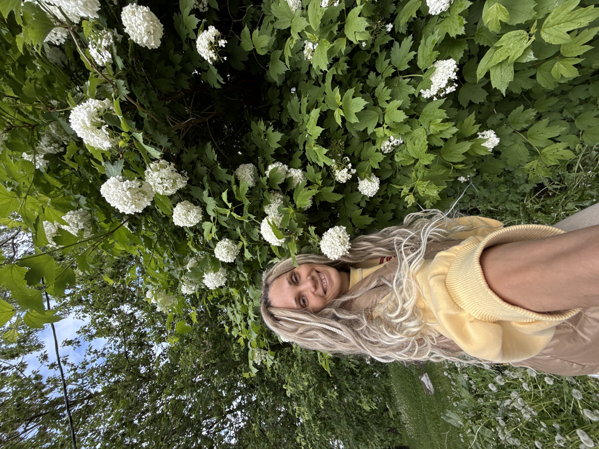 The image shows a person with long, blond, and white braided hair, positioned in front of a flowering bush with round clusters of white flowers and green leaves. The person is wearing a yellow sweatshirt and a tan jacket. They are smiling and appear to be taking a selfie. The background includes trees and a patch of grass with what seems to be dandelion seed heads. The location is unknown.