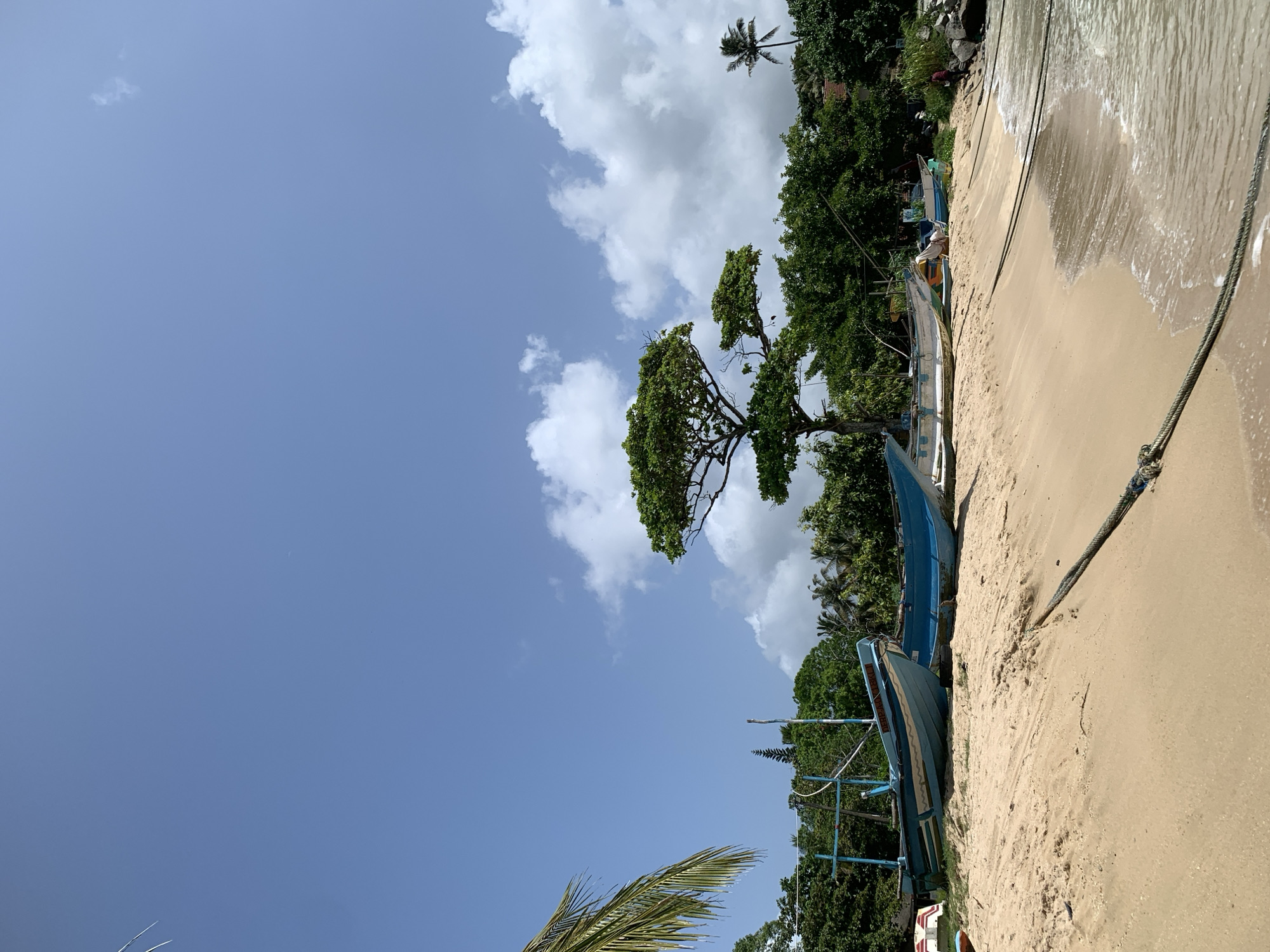 This image depicts a tranquil beach scene in Weligama, Sri Lanka. In the foreground, a sandy beach slopes gently towards the ocean, with gentle waves lapping at the shore. Several fishing boats, painted in various shades of blue, are pulled up onto the sand. Ropes are tied to the boats and extend towards the water, indicating they are secured. In the background, lush green trees and palm trees form a dense backdrop. A large, distinctive tree with a full canopy stands prominently on the beach. The sky is a clear blue, dotted with scattered white clouds. There are no people clearly visible in the immediate foreground or midground, though a lone figure can be seen in the far right background near some rocks. The overall impression is one of a peaceful, coastal environment.