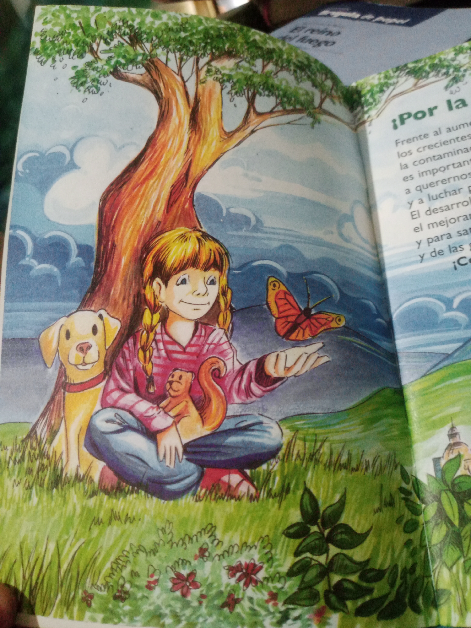 This is a close-up, eye-level, indoor photograph of an open book. The book displays an illustration of a young girl with blonde pigtails sitting outdoors under a large tree, holding a squirrel. A yellow dog sits beside her, and an orange butterfly is perched on her outstretched hand. The background depicts a cloudy sky and rolling green hills, with a glimpse of a building with a dome on the far right page. The illustration appears to be in a children's book. There is no information or visual cue in the image that would indicate a location in Santa Ana, Venezuela.