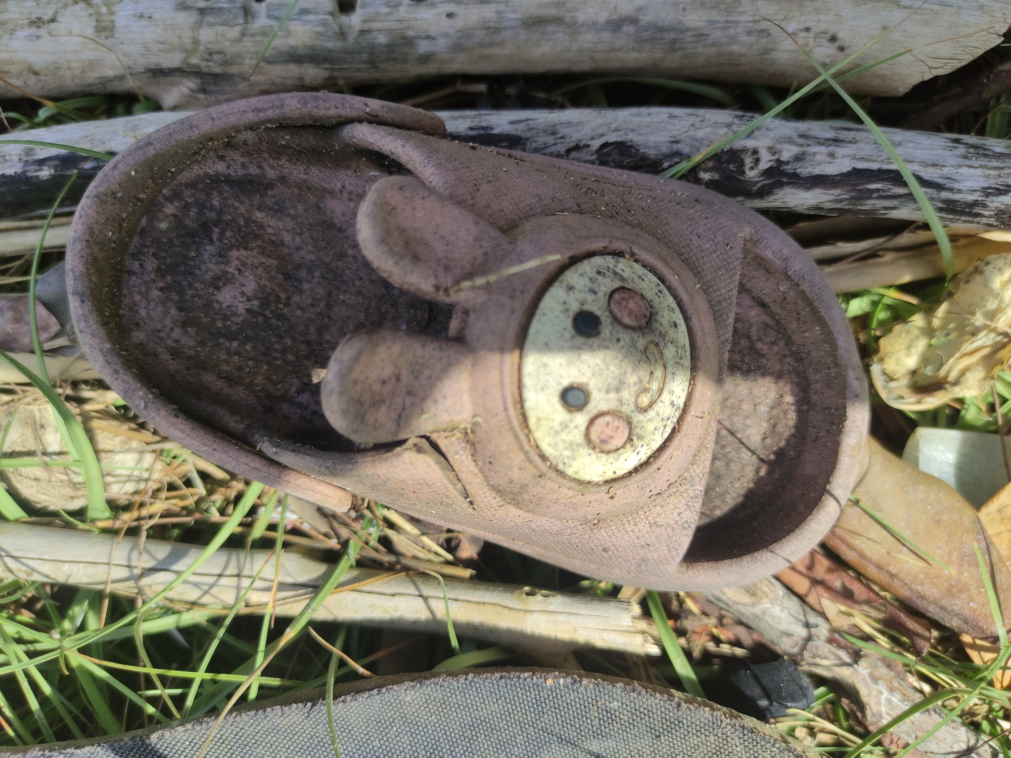 This forensic image depicts an outdoor scene in Neuheun, Indonesia, focusing on a single, heavily soiled and weathered object resting on the ground. The primary subject is a light brown or dusty pink slipper, likely a child's, constructed from a textured fabric-like material. Its interior sole features a circular, lighter-toned patch with two distinct dark circular marks, resembling eyes, and a central reddish-brown oval mark, suggestive of a cartoon animal face, potentially a pig or bear. Two ear-like protuberances are visible on the upper portion of the slipper, framing the facial features.
The slipper is significantly dirty, covered in grime and debris, indicating prolonged exposure to outdoor elements. It is positioned on a surface primarily composed of green grass, interspersed with dried brown and yellowish leaves, and other organic detritus. Several pieces of natural wood, appearing as weathered branches or small logs, are visible beneath and around the slipper, exhibiting varying shades of grey, white, and brown. In the lower left foreground, a section of grey, woven fabric, consistent with another part of footwear, is partially visible. A light-colored, angular object, possibly plastic or stone, is partially visible among the leaves in the lower right. The scene is illuminated by natural daylight, creating shadows and highlighting the textures of the objects and ground cover. No individuals or active subjects are present in the frame.