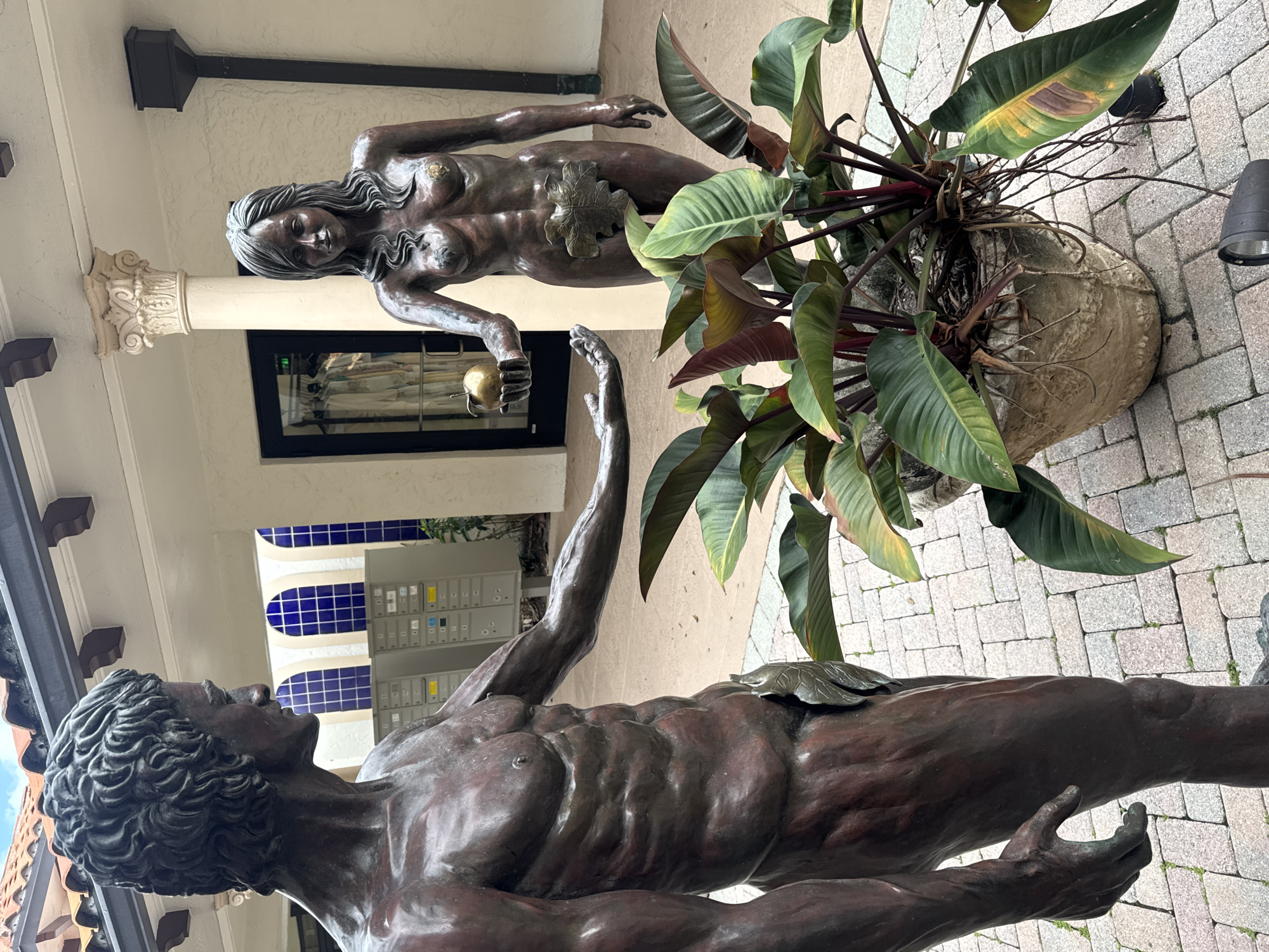 This image depicts two weathered bronze statues, a male figure (Adam) on the left and a female figure (Eve) on the right, positioned outdoors in a courtyard setting in Boca Raton, United States of America. The male statue features a muscular physique with curly hair and a small leaf covering its genitalia, while the female statue presents a more slender form with long, flowing hair and a larger leaf covering its genitalia. Eve holds a golden apple in her right hand, extending it towards Adam, whose left hand is open in a gesture of reception.
In the background, a building with a Mediterranean Revival architectural style is visible, featuring a terracotta tiled roof, light-colored stucco walls, and decorative architectural elements. Behind the male statue, a series of three arched windows with blue tile infill are seen, adjacent to a bank of grey metal mailboxes or storage units. Behind the female statue, a classical column with an ornate capital is visible, alongside a dark downspout and a dark-framed glass door, which reveals a clothing rack inside.
In the mid-ground, centered between the two statues, is a large, light-colored, textured planter containing a tropical plant with broad, dark green and reddish leaves. The plant partially obscures the lower torsos of both statues. The ground is paved with light-colored rectangular pavers arranged in a repeating pattern, with sparse vegetation visible in the crevices. A black ground-level spotlight is visible in the bottom right foreground.