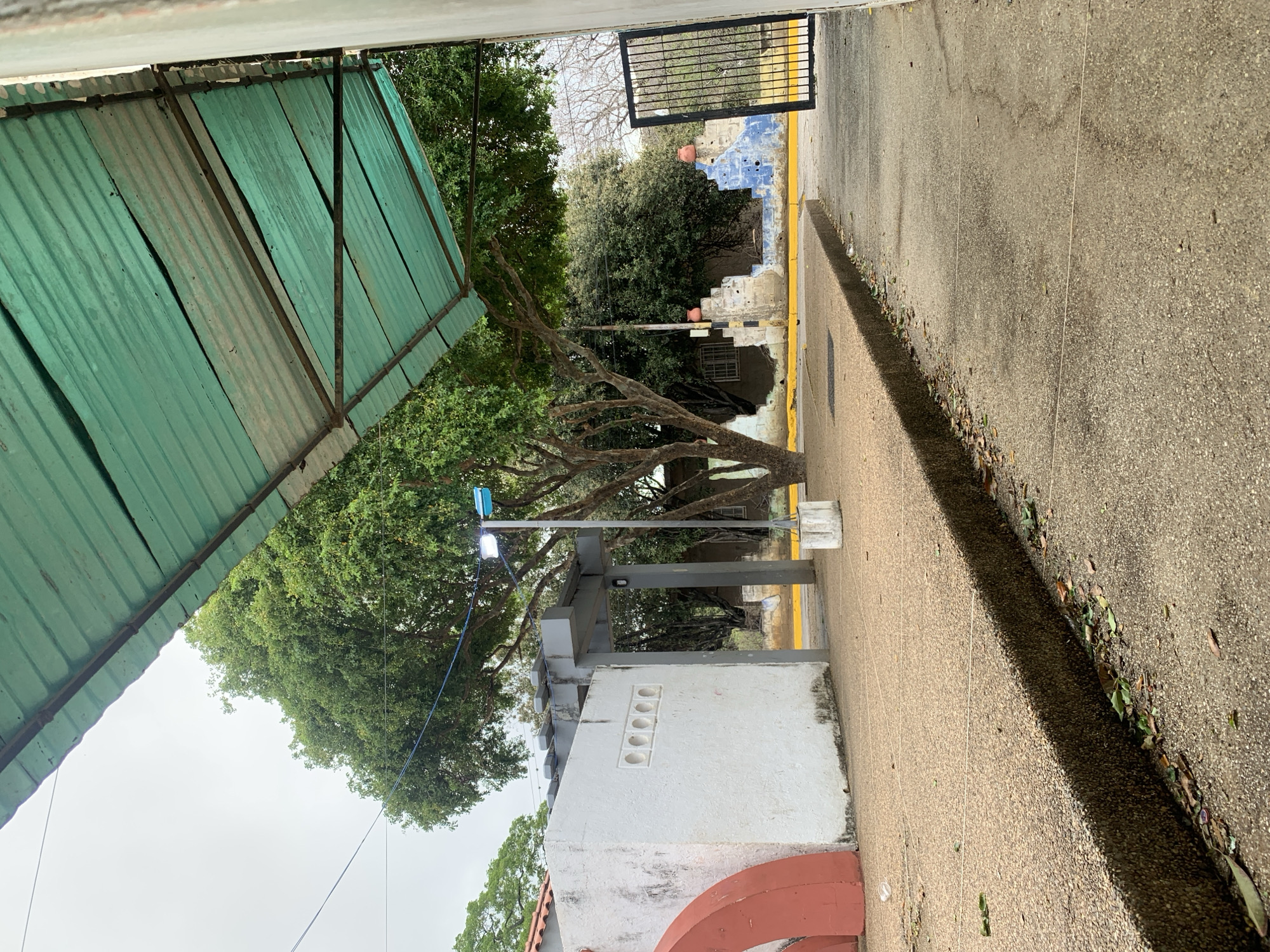 The image displays an outdoor scene, likely a pathway or entrance to a building, in La Tagua, Venezuela, under an overcast sky.
In the foreground to the left, a weathered green corrugated metal roof, supported by dark metal beams, extends over a portion of the area. Below this shelter and dominating the midground is a large tree with a substantial trunk and branches densely covered in green leaves. Adjacent to the tree, a white, low-rise concrete structure, possibly a wall or building section, features a pattern of five circular ventilation holes and an orange-red arched base. A light fixture on a pole is positioned near this structure and the tree.
To the right, a light-colored, gravel-textured concrete walkway or path extends into the background, bordered by a clear yellow painted line. The ground is lightly scattered with dry leaves and small debris. Further into the background, an open black metal gate provides a view of more trees and another building with a distinctive blue and white painted facade, possibly a mural or architectural detail. Terracotta pots are visible on ledges or steps in front of this distant structure. The sky is uniformly gray and overcast, casting a soft light and visible shadows on the ground. No people or text are visible.