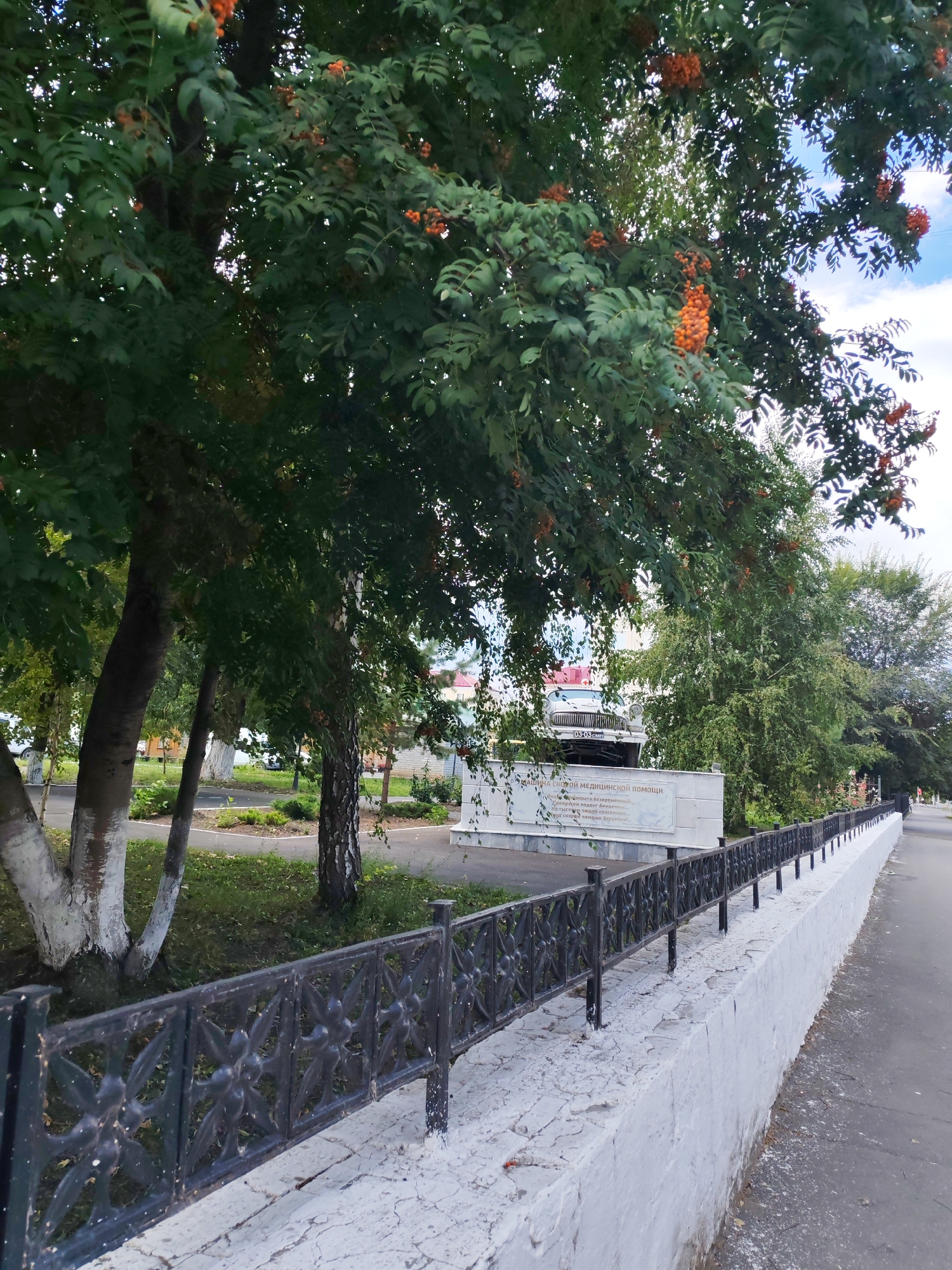 The image depicts a street scene with a prominent rowan tree in the foreground, its branches laden with bright orange berries and green leaves. A black wrought-iron fence with a decorative floral pattern runs along a white, cracked concrete wall, separating a paved sidewalk from a green grassy area. In the background, a white monument displays a vintage ambulance vehicle mounted on top, accompanied by a sign in Cyrillic script. Several other trees, some with white-painted bases, are visible in the background, along with a hint of buildings and a cloudy sky. The scene appears to be a public space, possibly a memorial or park area within a city.