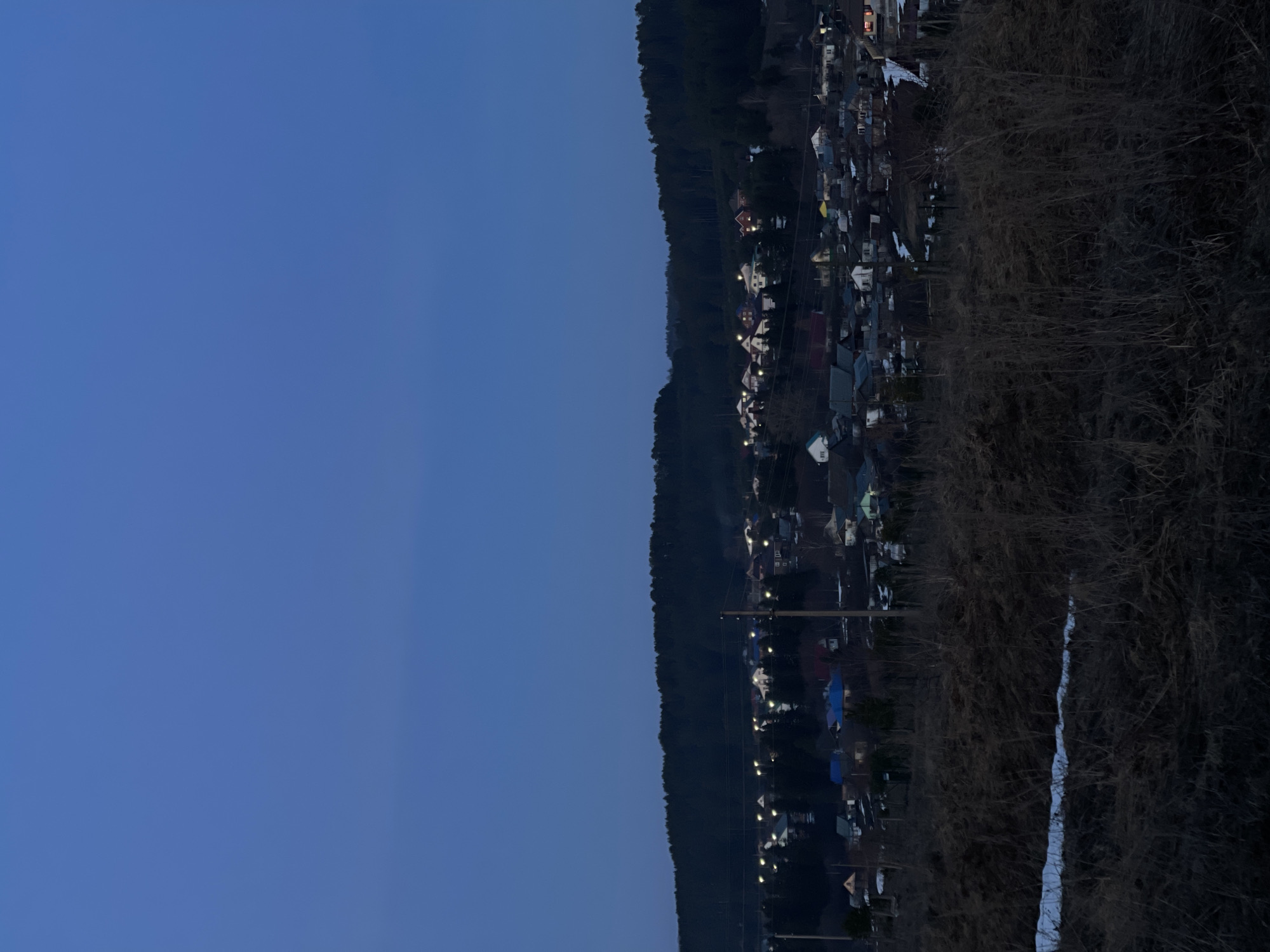 The image depicts a view of the town of Фоки, Russia, at dusk or dawn. The sky is a deep blue. A dense forest lines the horizon on the left, transitioning into a residential area with houses and streetlights. Patches of snow are visible. Overgrown vegetation is visible on the right.